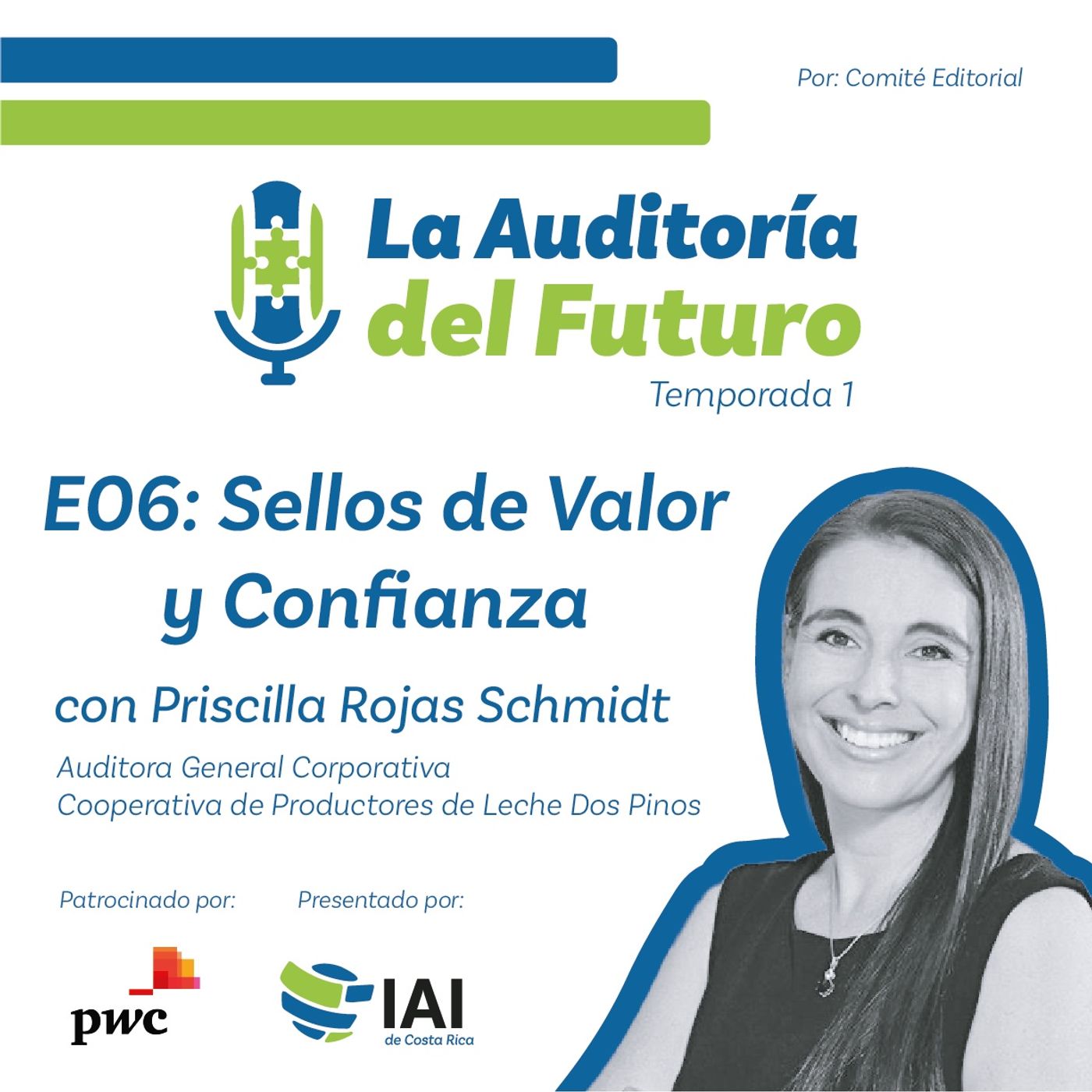 La Auditoría del Futuro