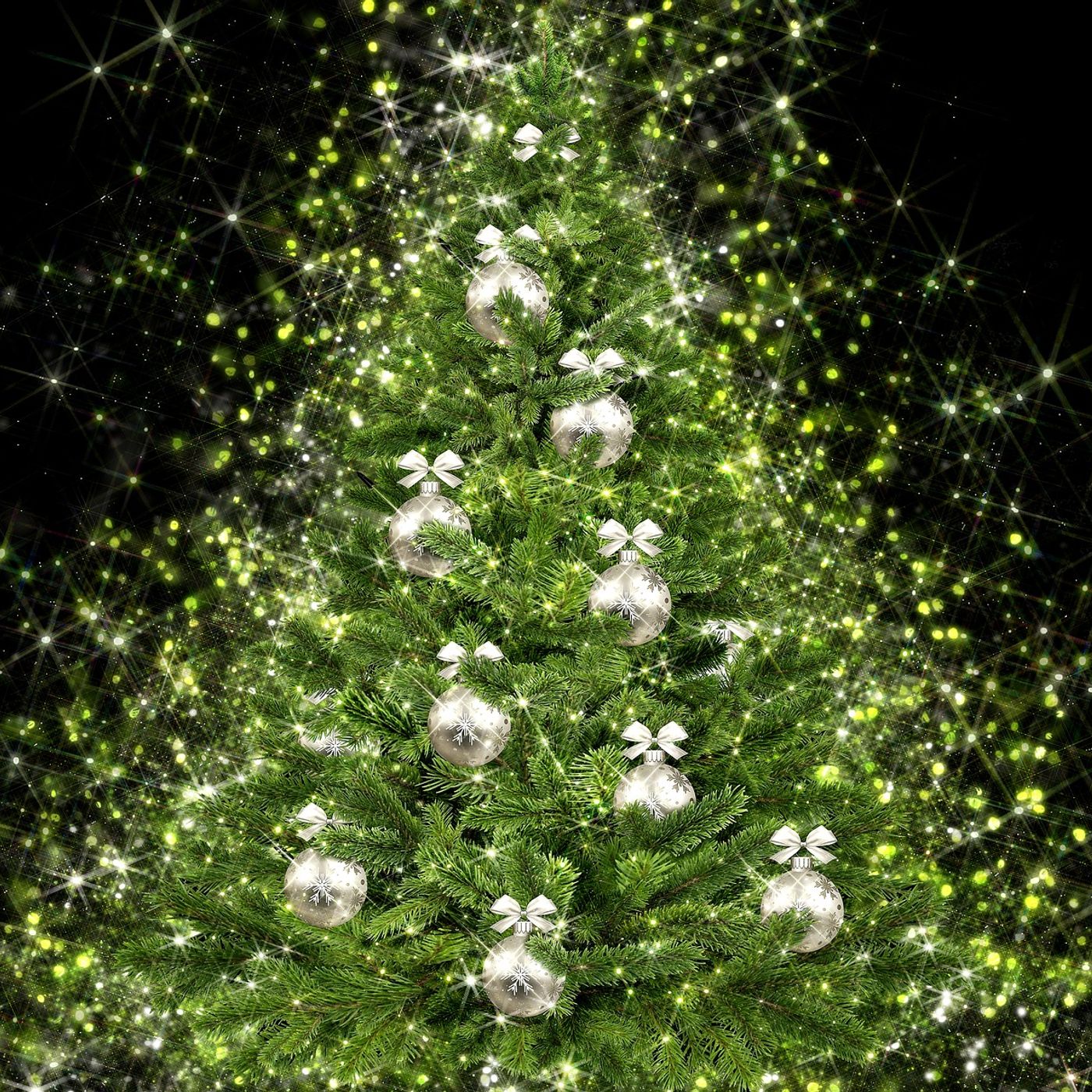 Wedding Planner Torino - Come nei Sogni®