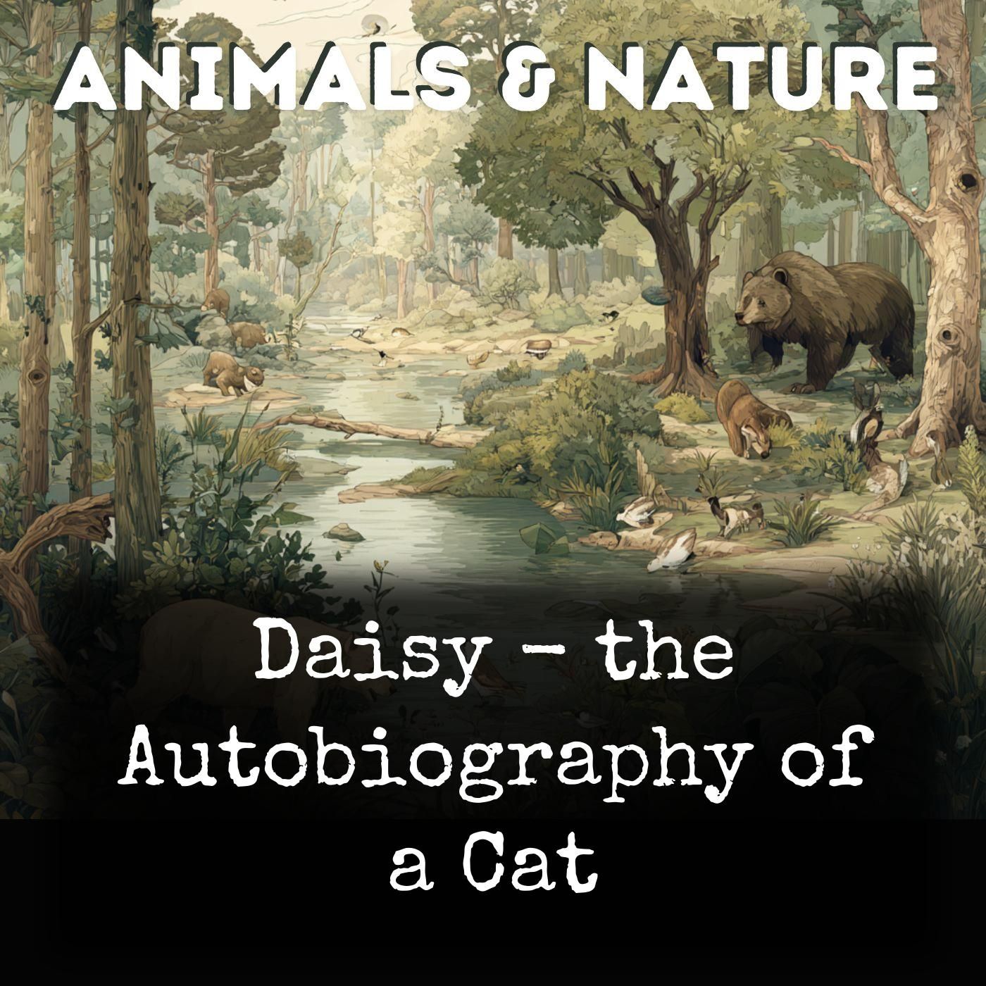 Daisy - the Autobiography of a Cat cover art