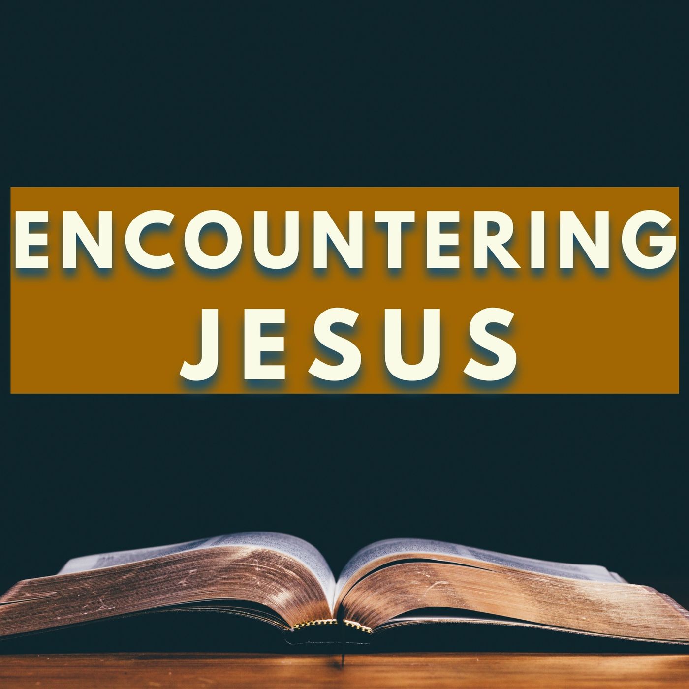 Encountering Jesus episode artwork