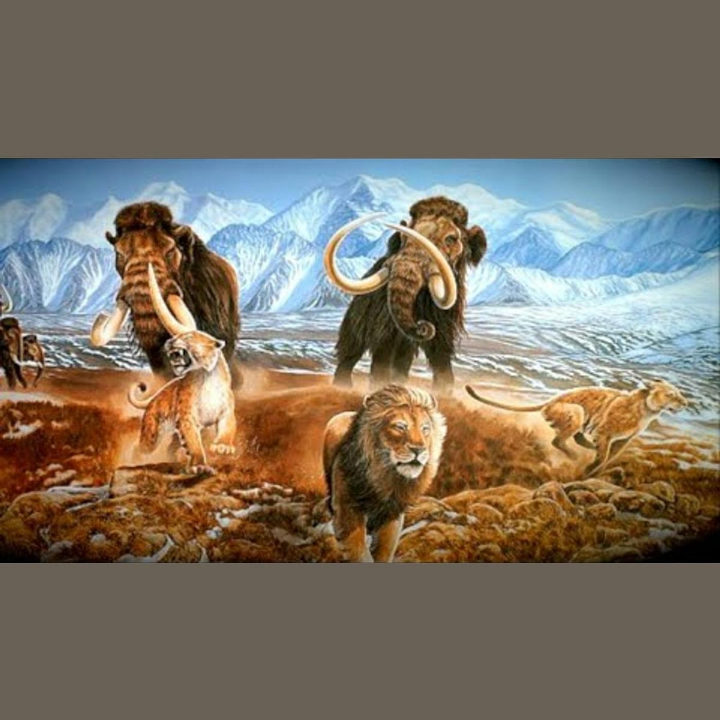 Scimitar Cats, Cave Bears, and Behemoths - Megafauna of the Mediterranean Ice Age episode artwork