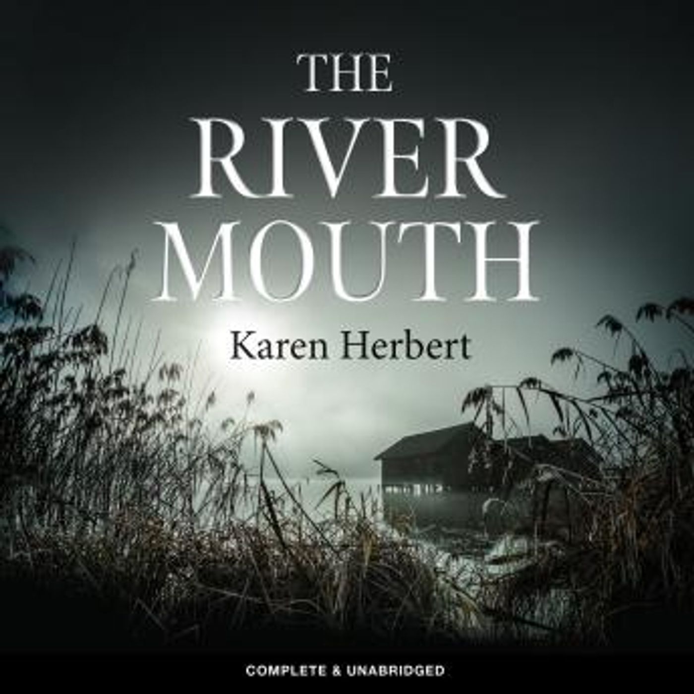 Best Full-Length Audiobooks in Mystery, Thriller & Horror, Suspense