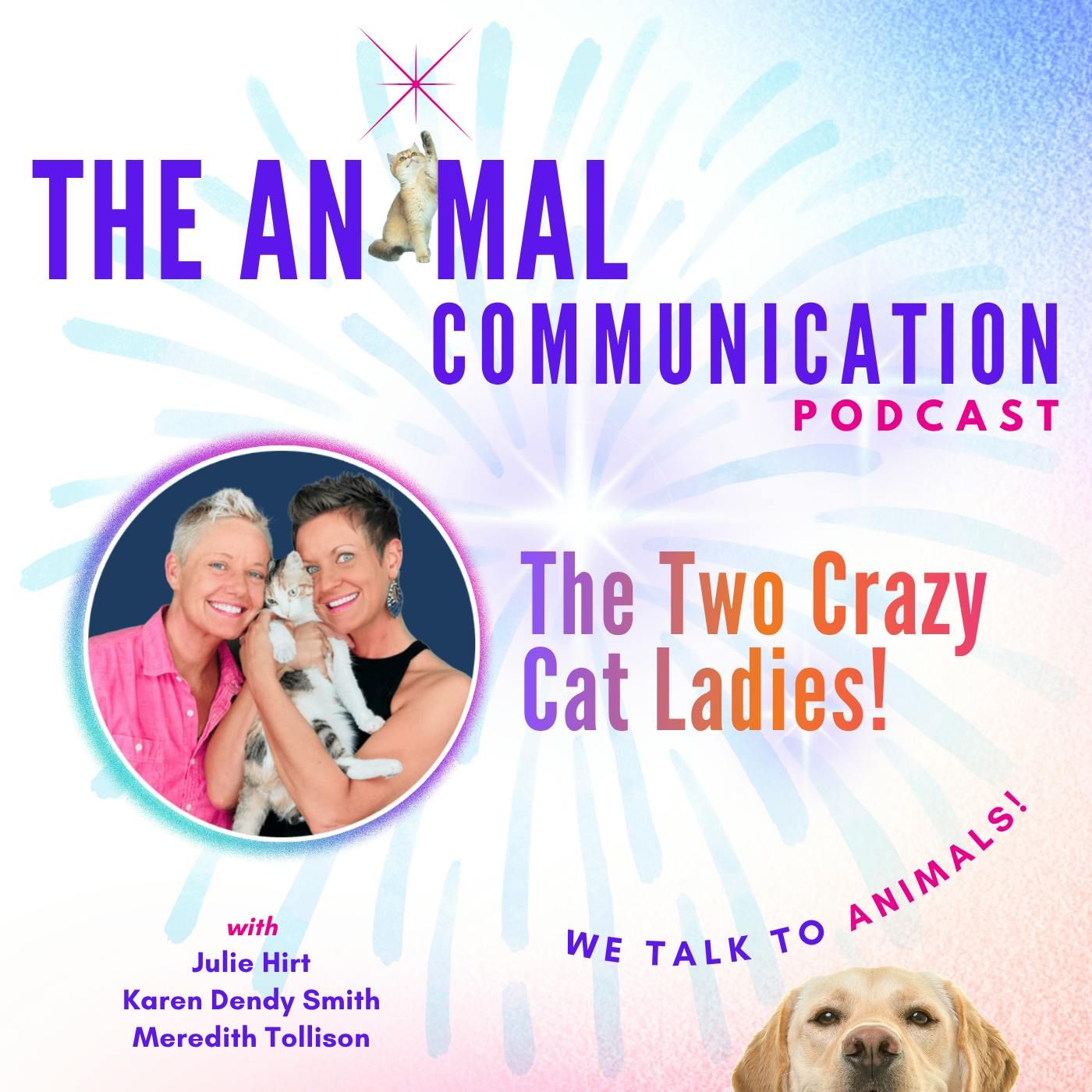 The Two Crazy Cat Ladies episode artwork