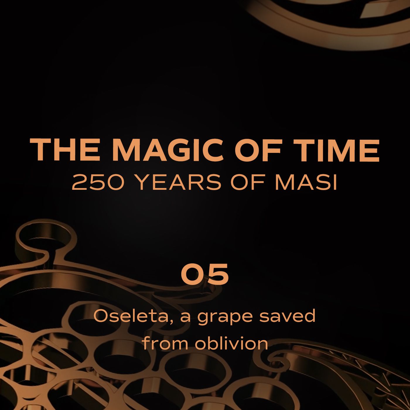 The magic of time. 250 years of Masi