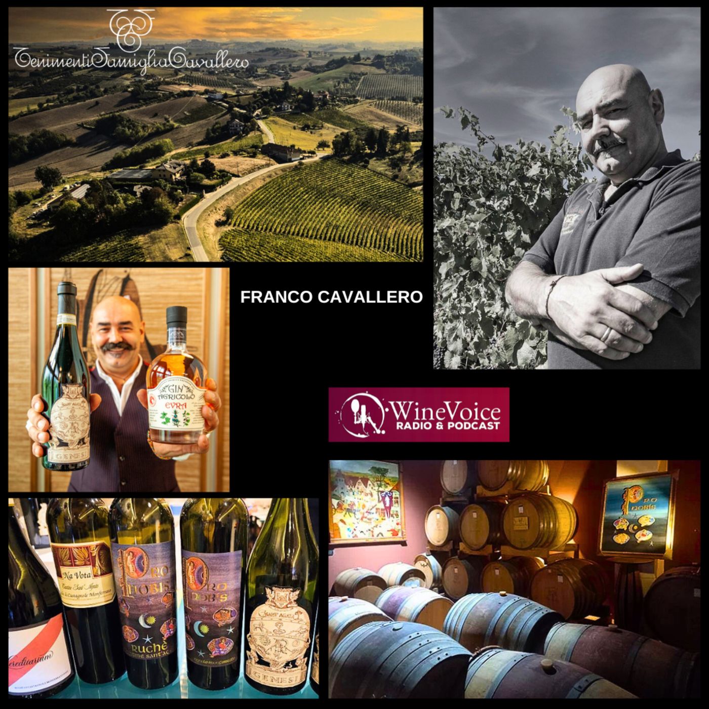 Benvenuti in Cantina: CANTINE SANT'AGATA "Franco Cavallero, il Ruchè nel mondo !" 3/3 (Piemonte) episode artwork