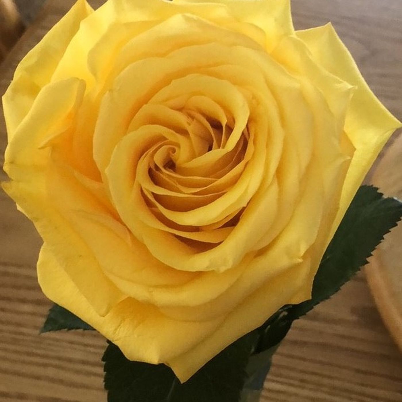 Abundance: In Life and Death