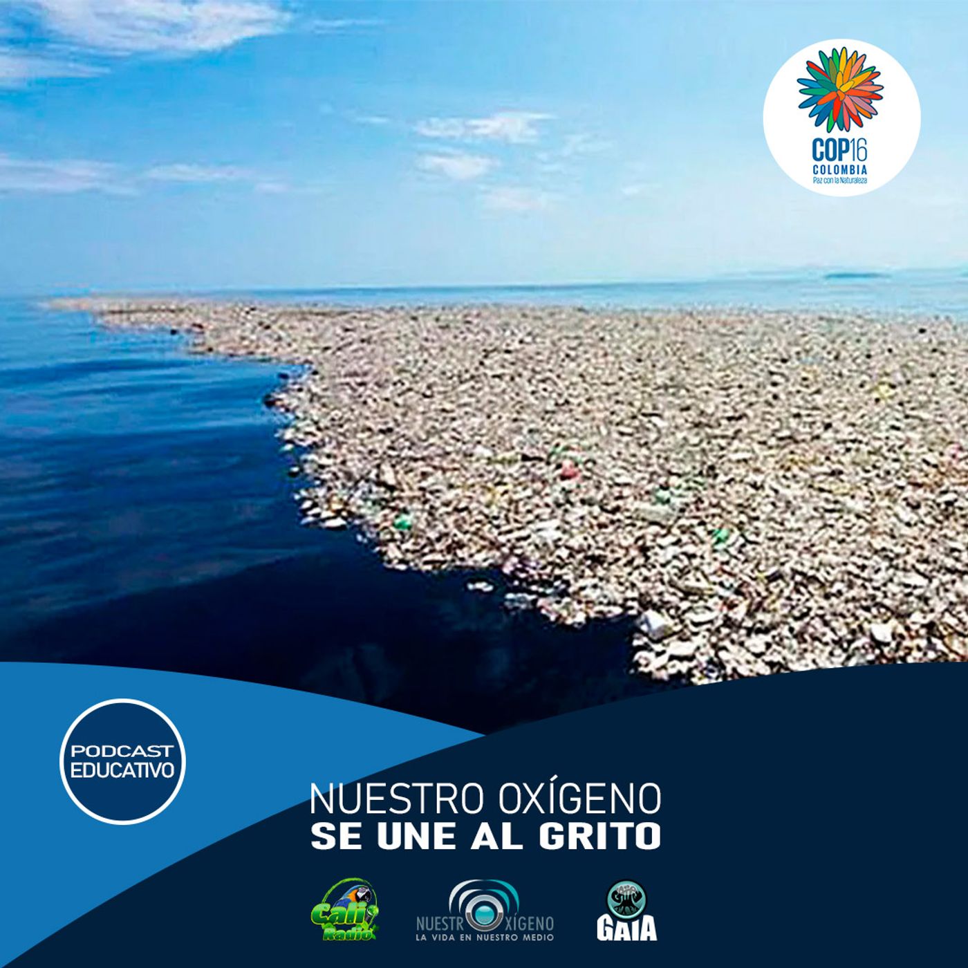2024 Nuestro Oxigeno 10- Octubre