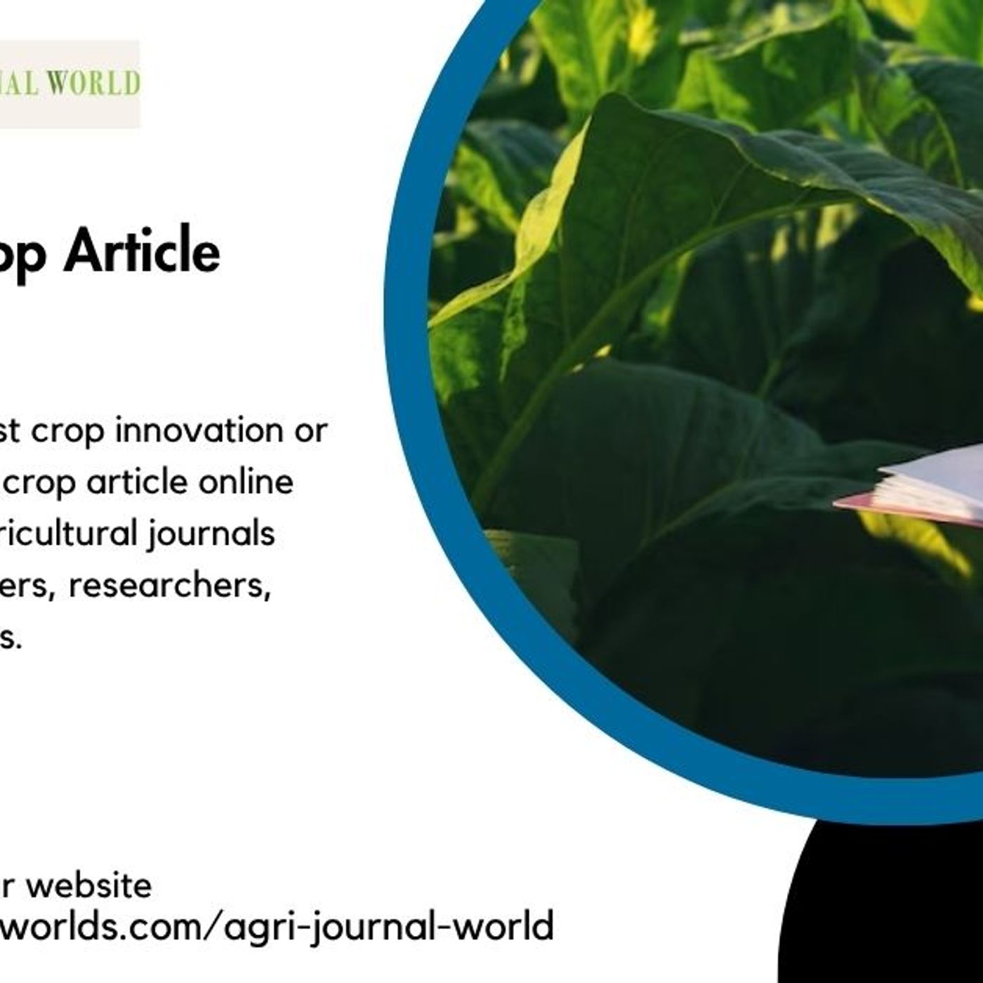 Online Agriculture Article Publication –