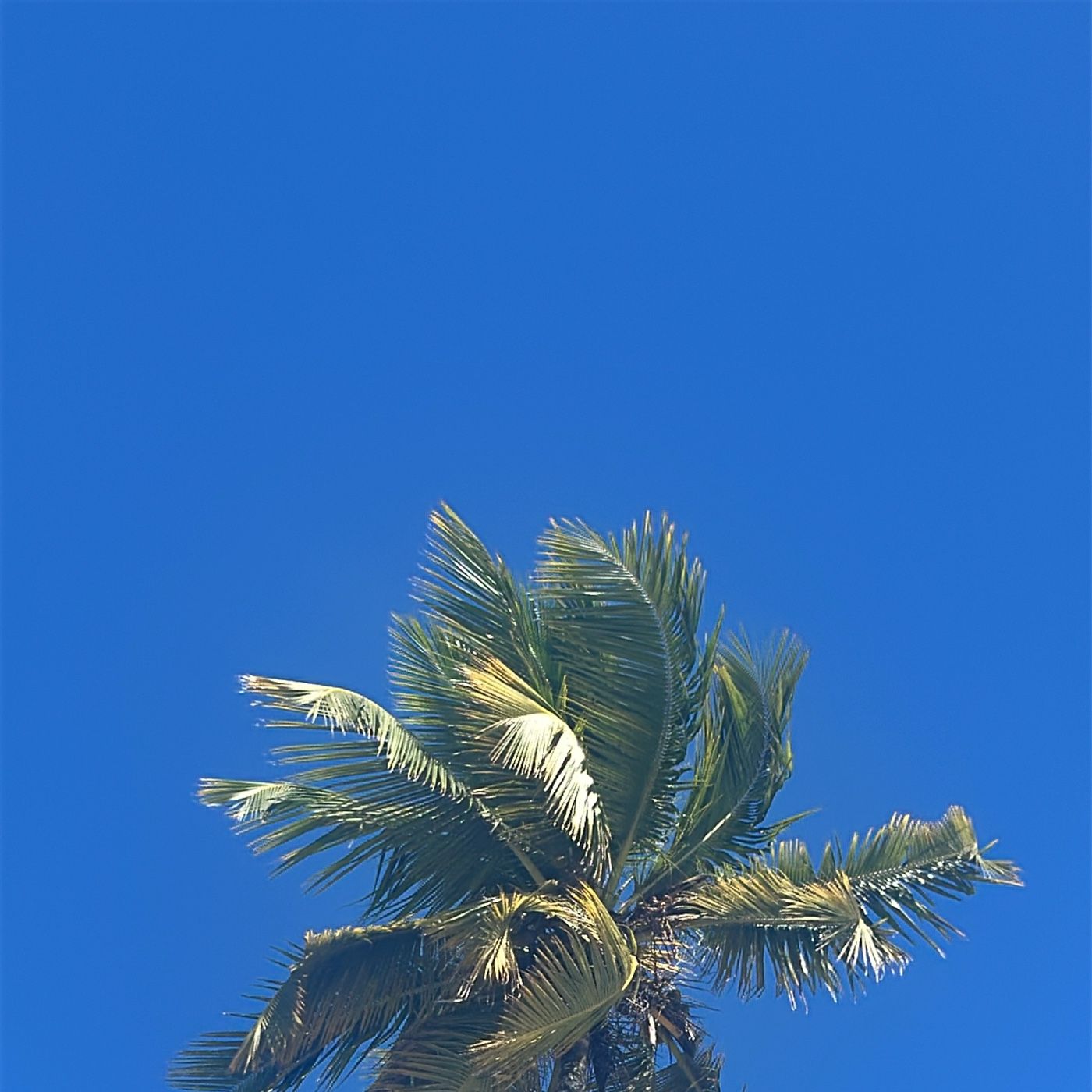 Vamos Hablar Un Poco De Impuestos