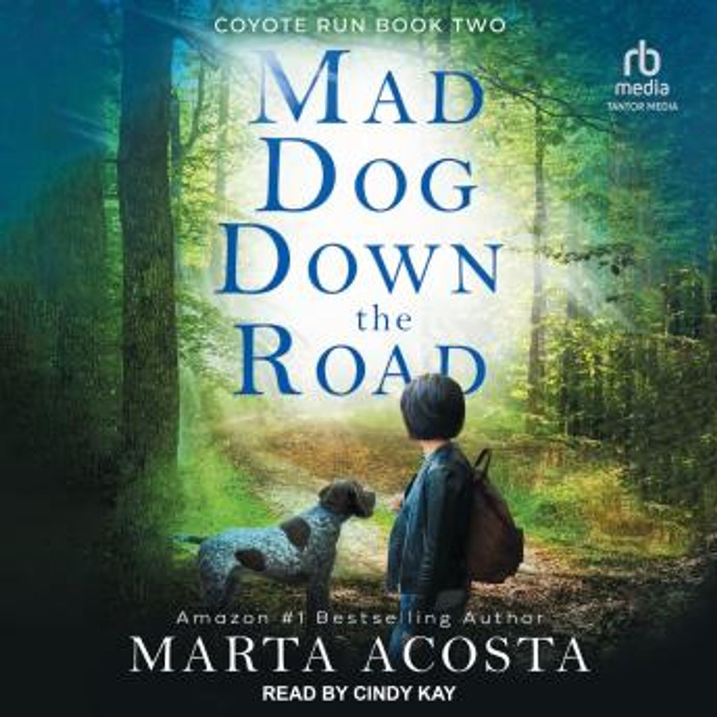 Find Best-Selling Full Audiobooks in Mystery, Thriller & Horror, Cozy Mystery