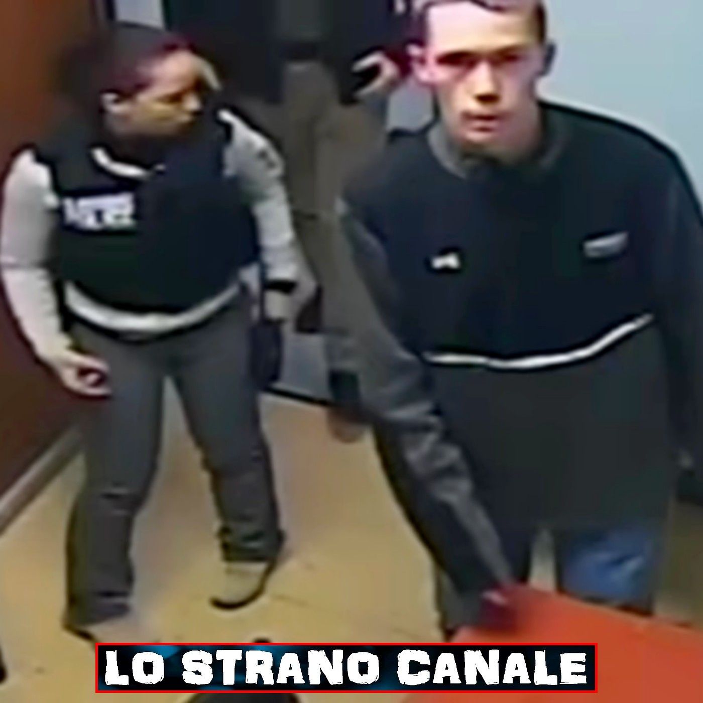Il Disturbante Caso di Nicole Lovell (Lo Strano Canale Podcast) episode artwork