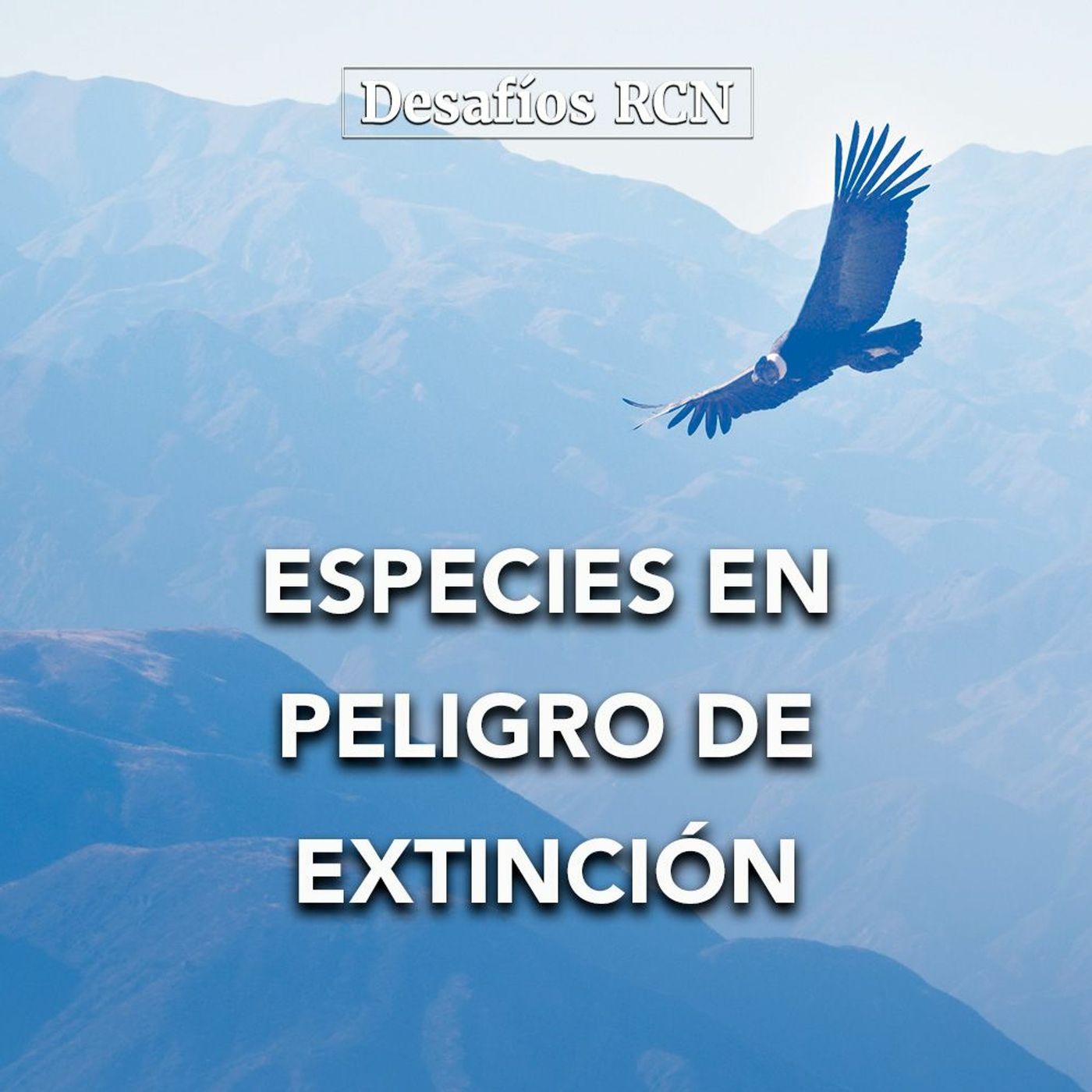 Especies en peligro de extinción | Desafíos RCN-Javeriana episode artwork