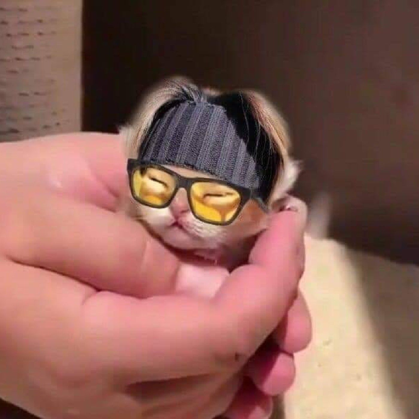 El podcast de Chino Kun