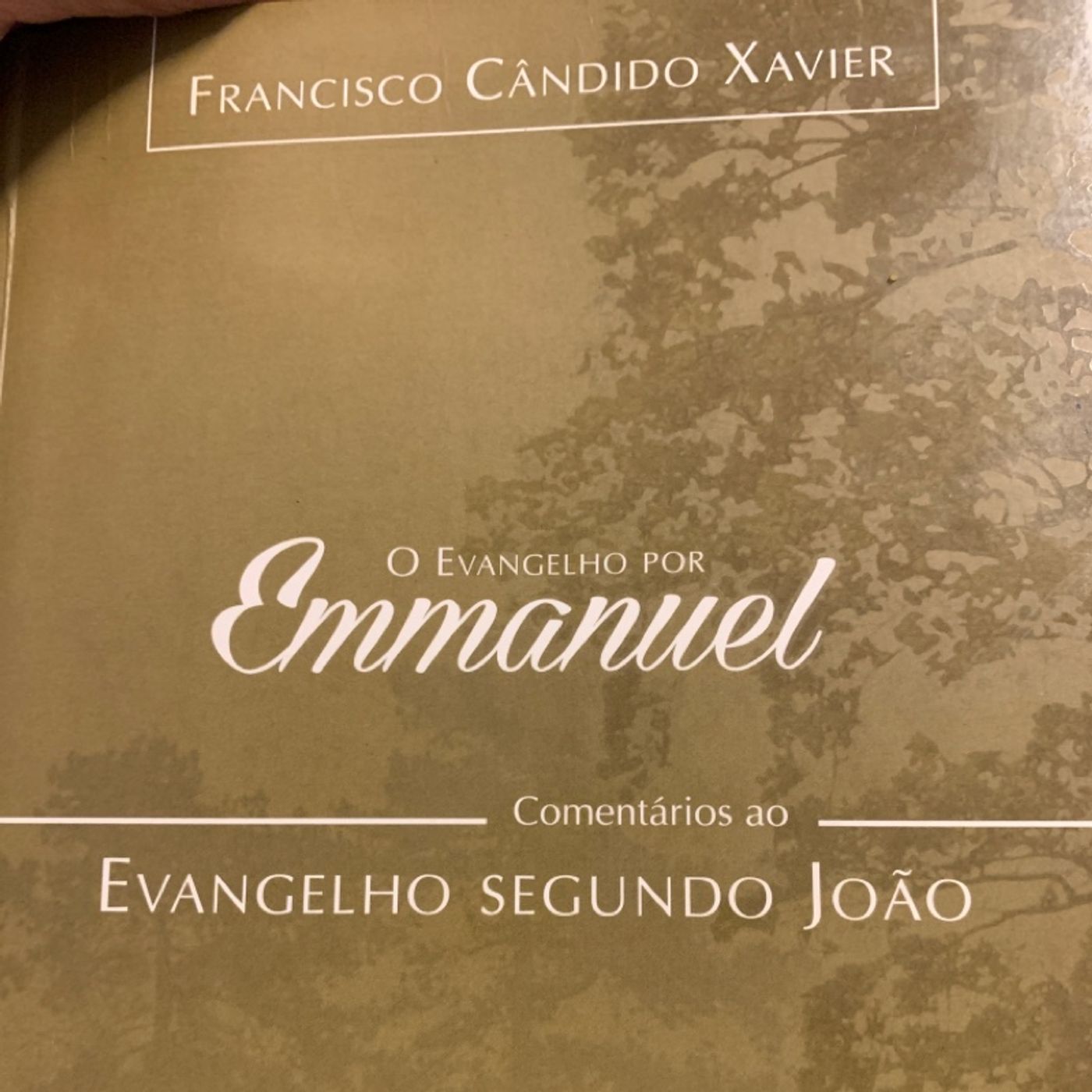 Edmundo Coelho Barbosa