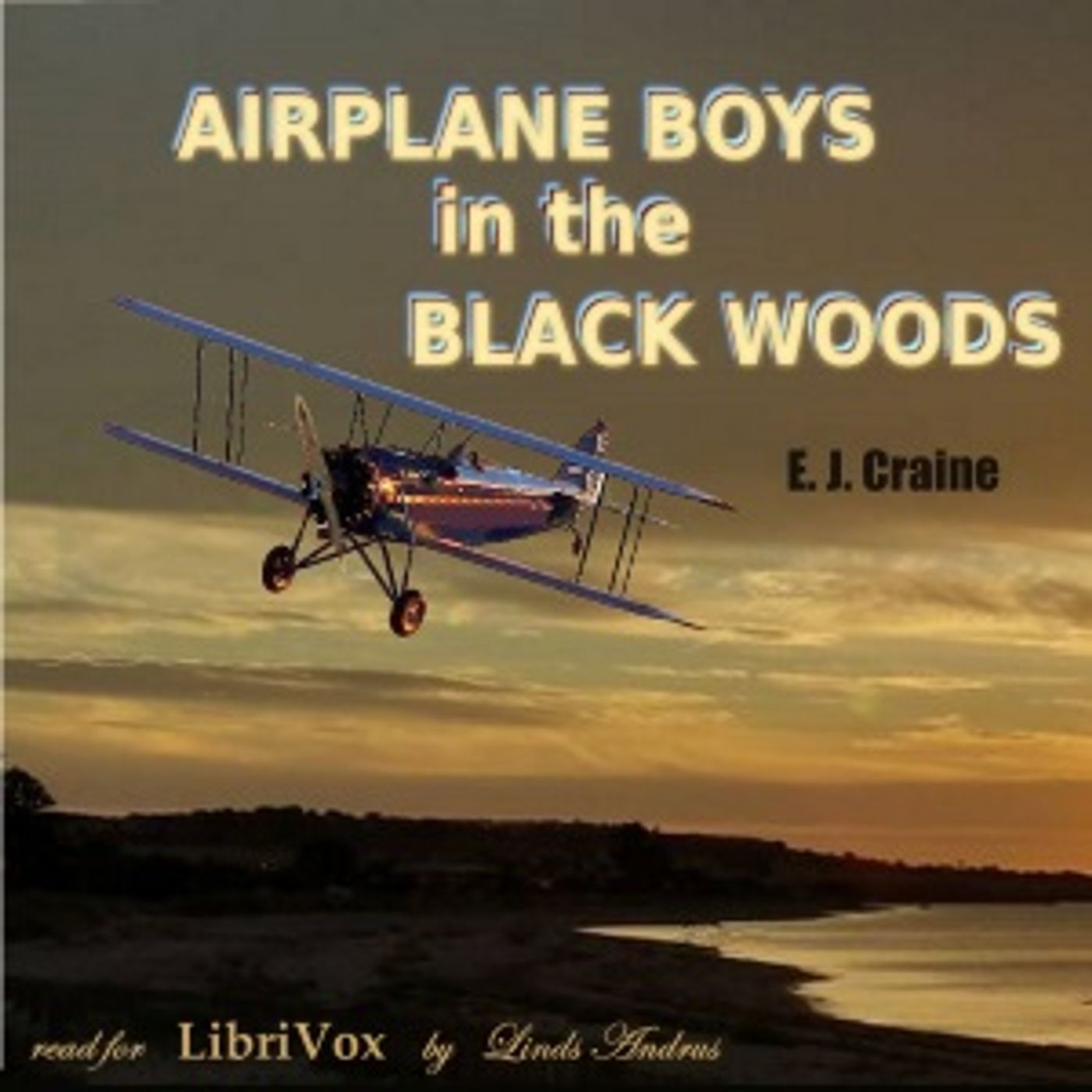 Airplane Boys in the Black Woods by E. J. Craine (1881 - ) podcast artwork