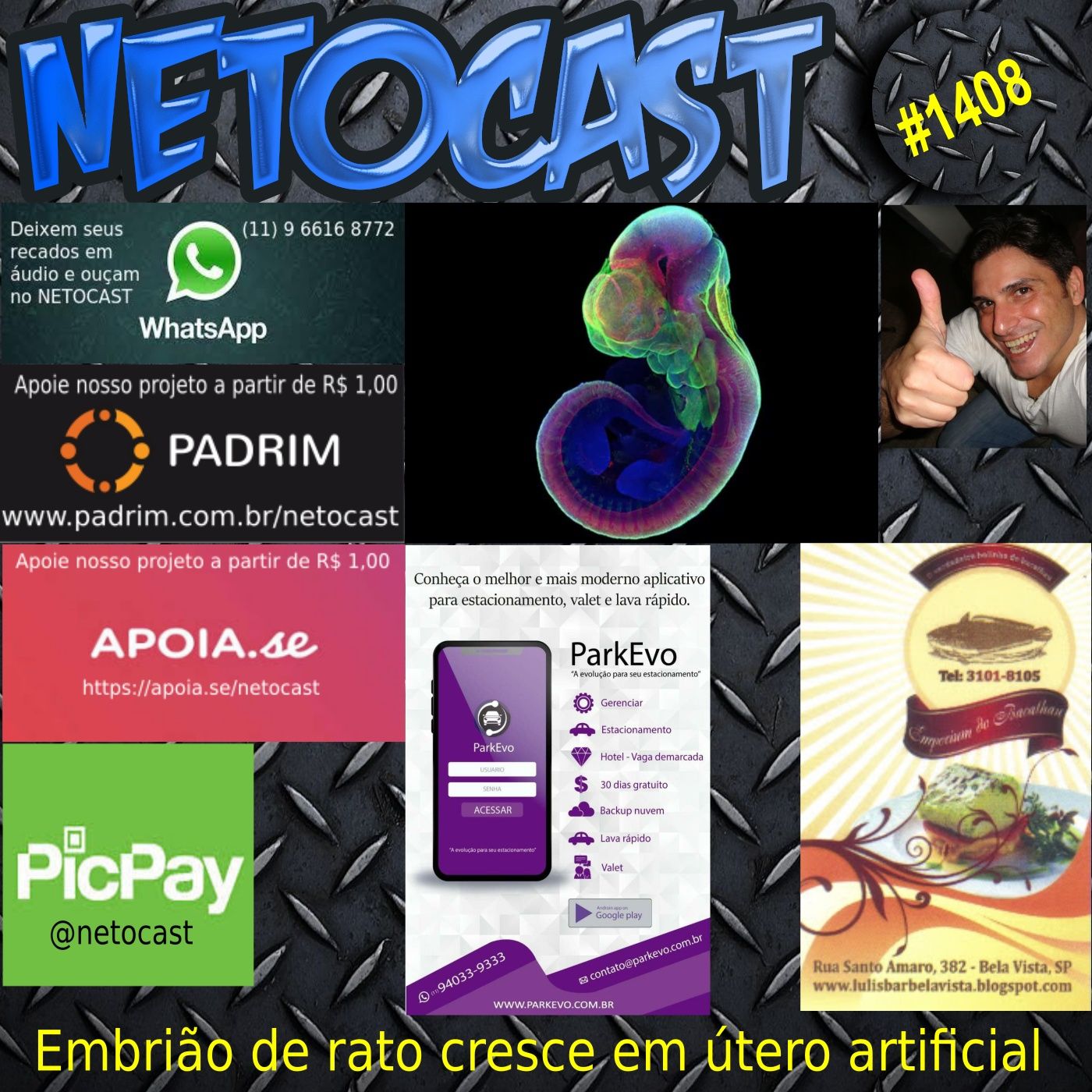 NETOCAST 1408 DE 29/03/2021 - EMBRIÃO DE RATO CRESCEU EM ÚTERO ARTIFICIAL episode artwork