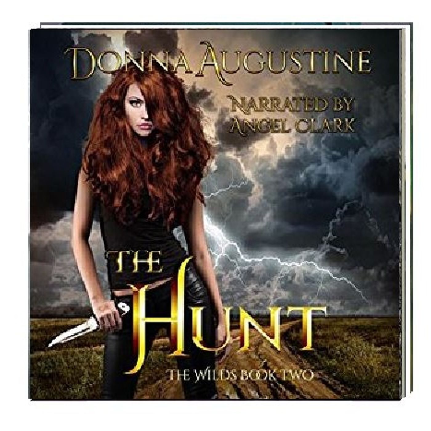 The Hunt The Wilds Book Two By Donna Augustine Narrated By Angel Clark episode artwork