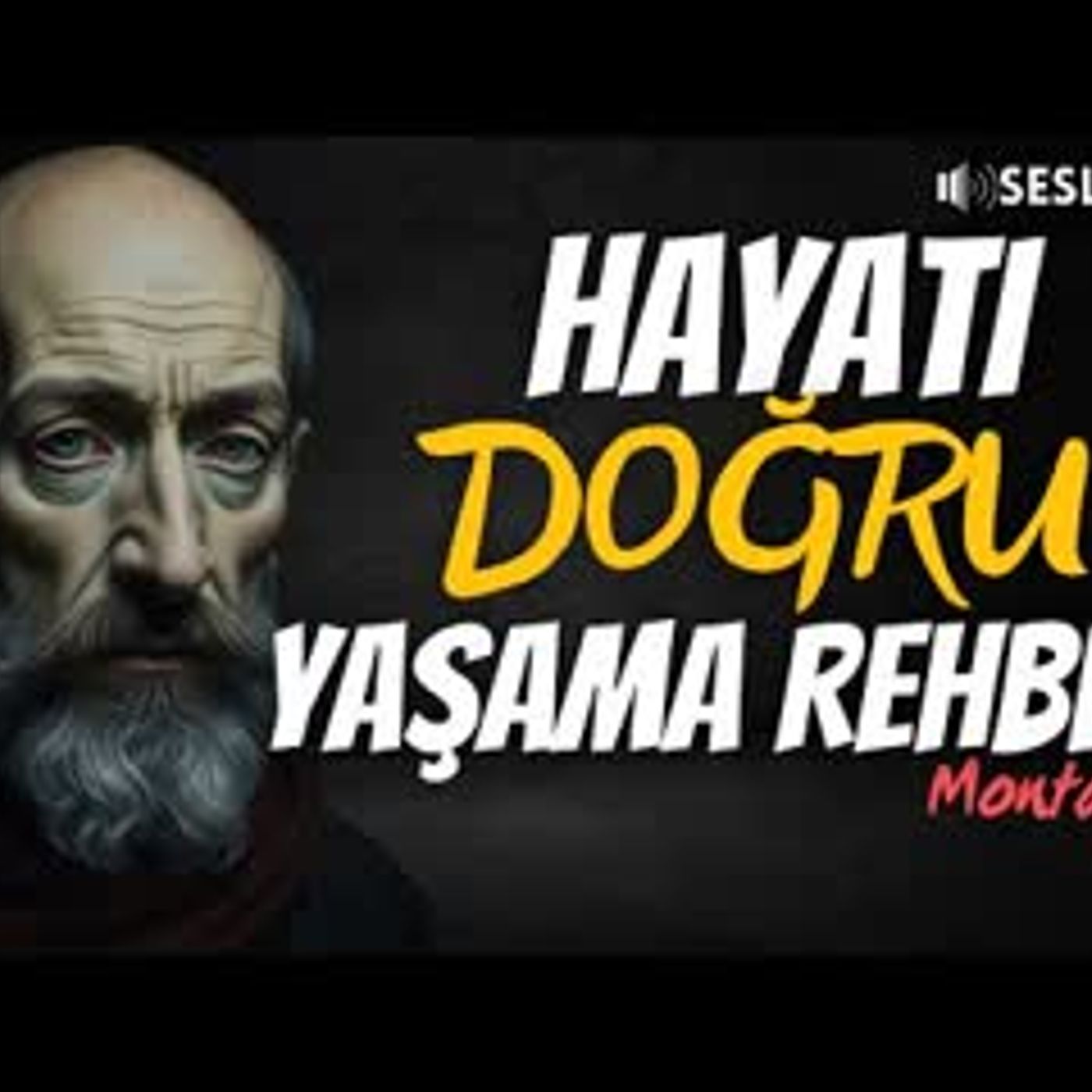 MONTAİGNE - HAYATI DOĞRU YAŞAMA REHBERİ   SESLİ KİTAP - TEK PARÇA
