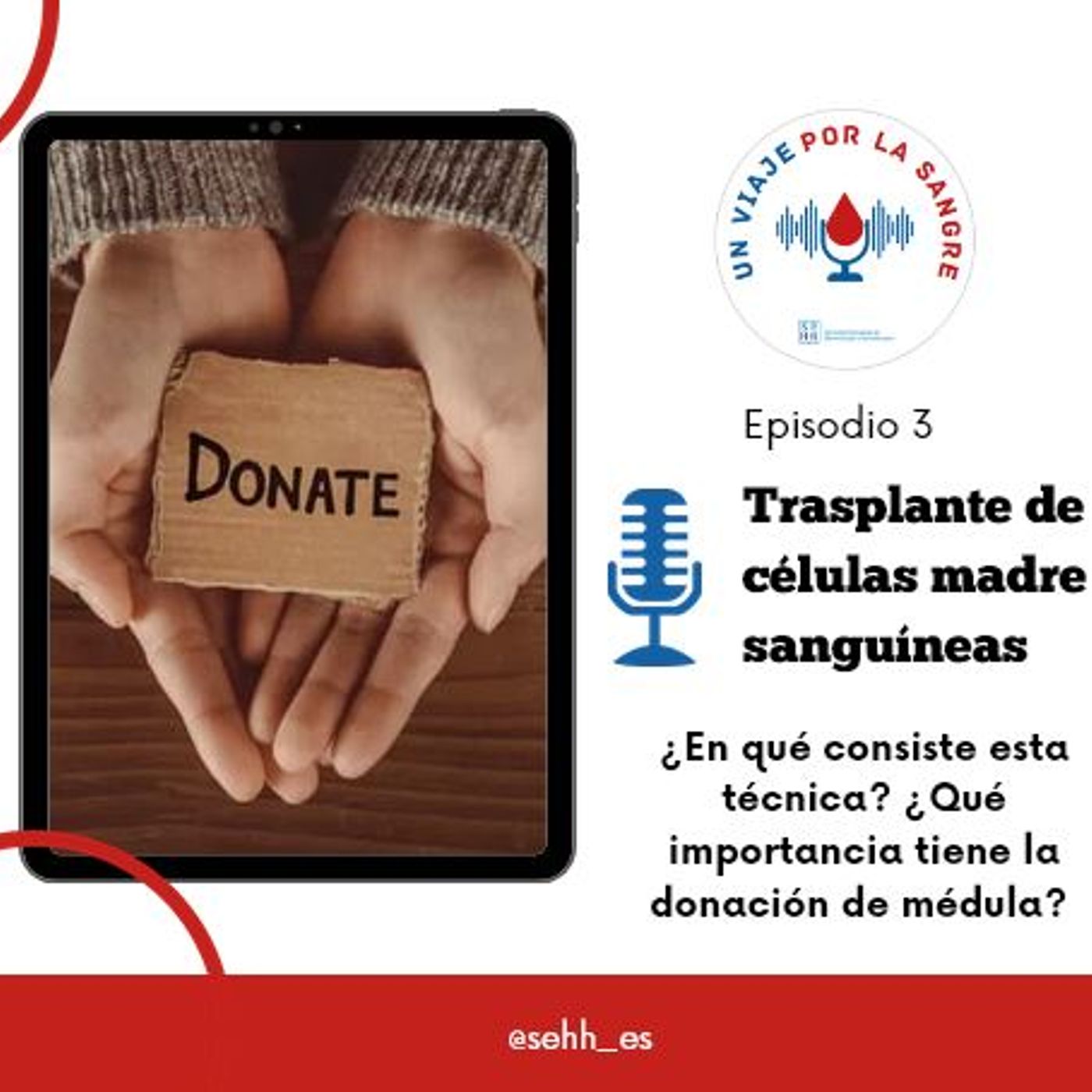 Un viaje por la sangre, de la SEHH