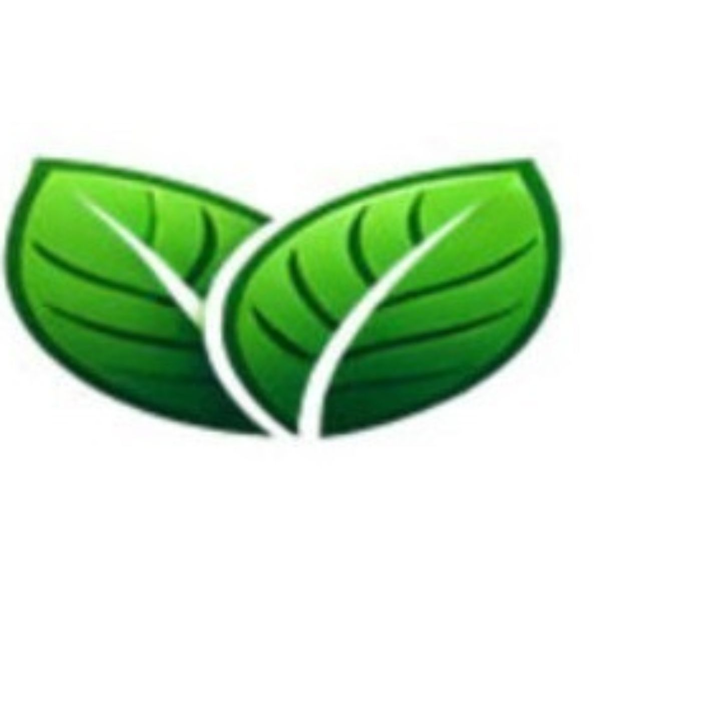 Green Webpage | Cheap Web hosting cover art