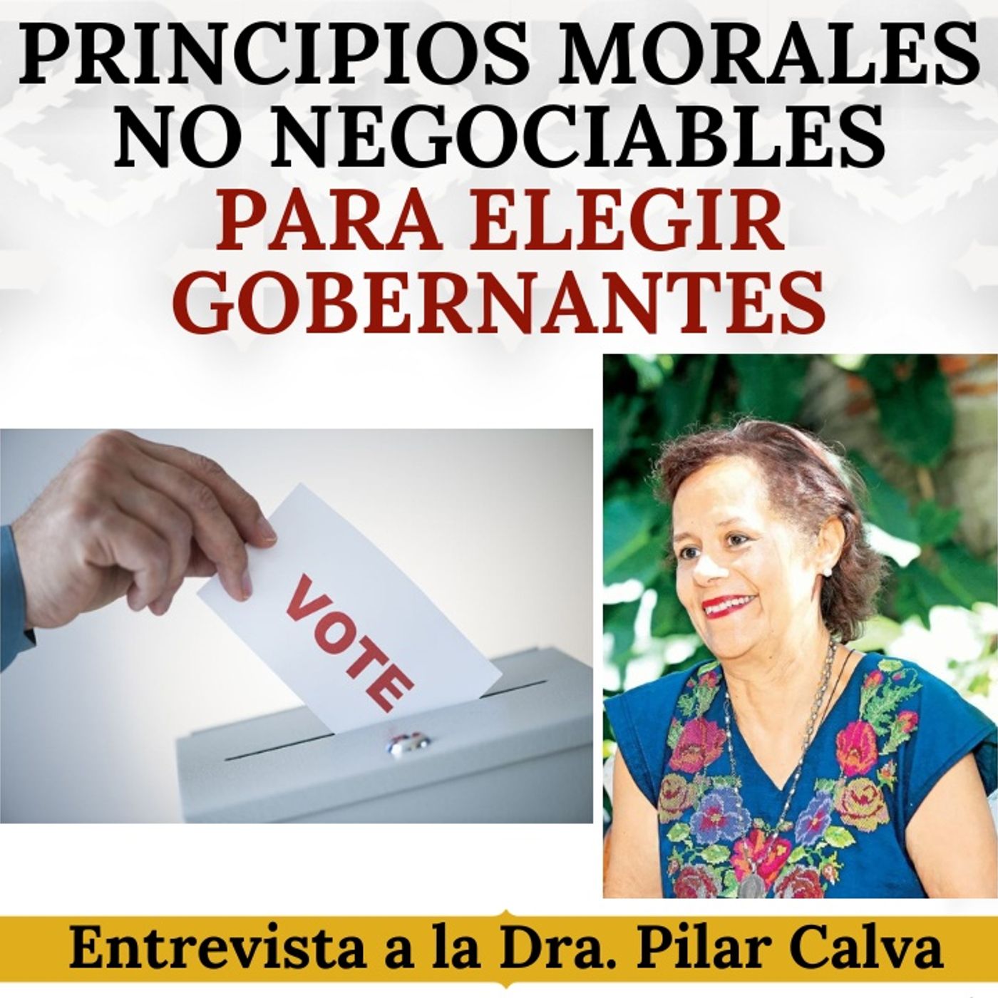 Principios morales no negociables para elegir gobernantes. Entrevista a la Dra. Pilar Calva.