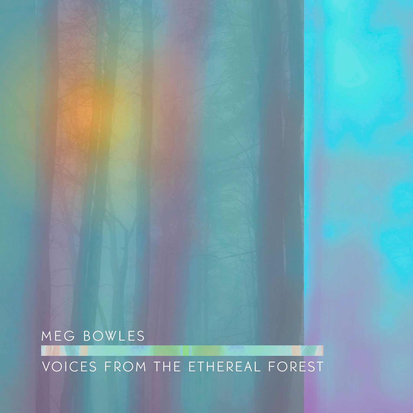 MEG BOWLES ~ The Voice from The Ethereal Forest