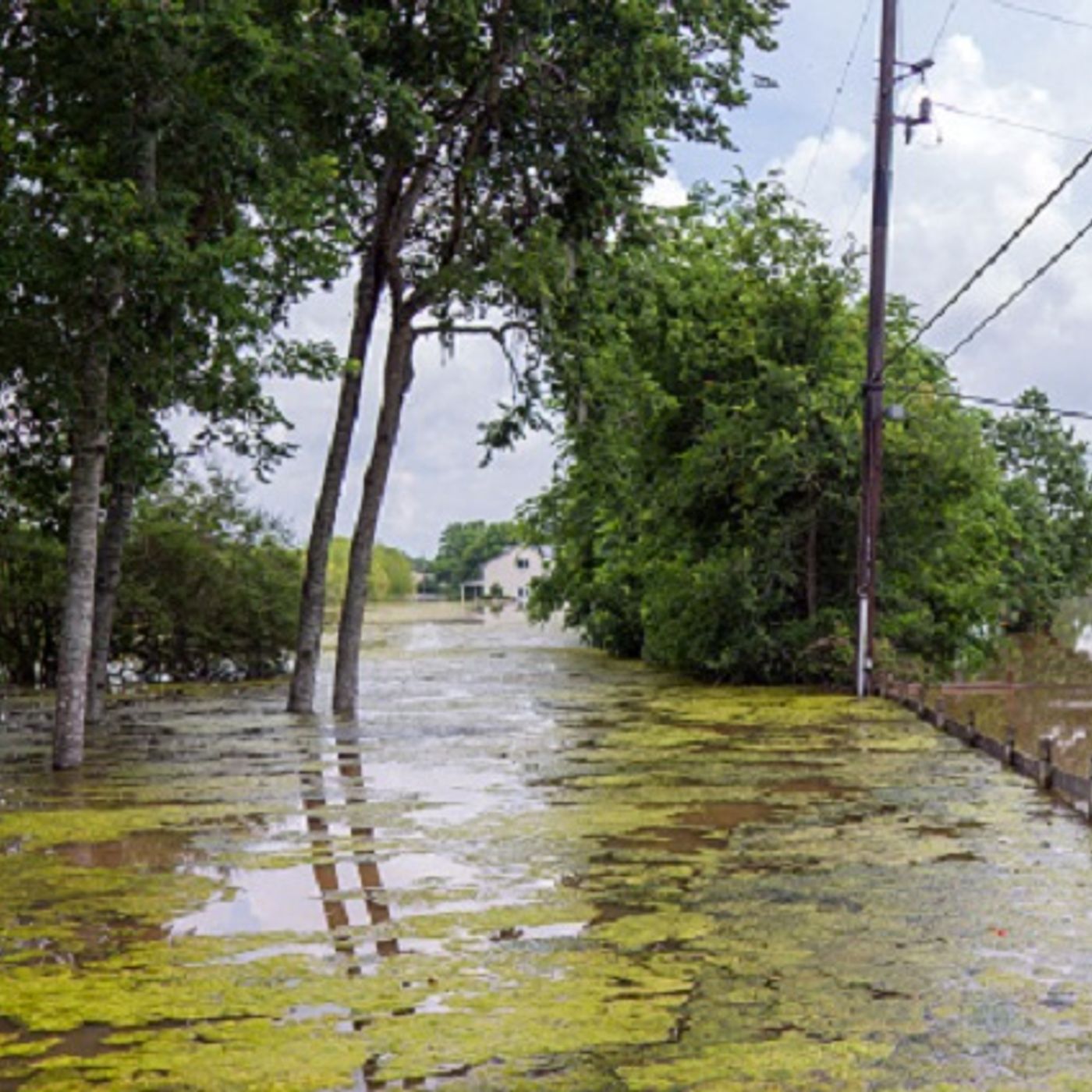 (Smile File) Month-long Search After Texas Flood Has a Happy Ending episode artwork