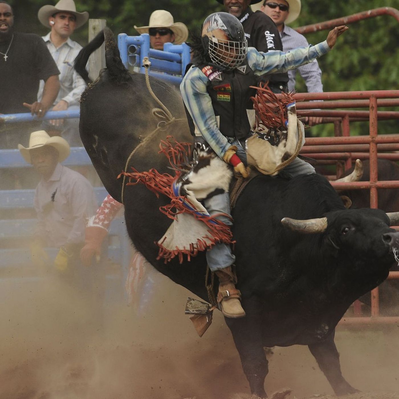 5 Things to Do in Kankakee County: Pembroke Rodeo, Thursday Harvest Hang at Locavore Farm episode artwork