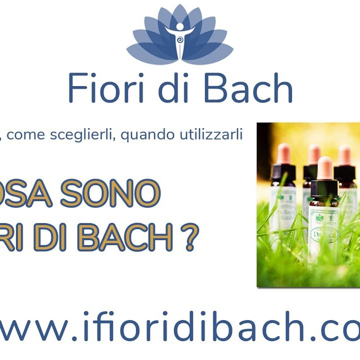 Cosa sono fiori di Bach episode artwork