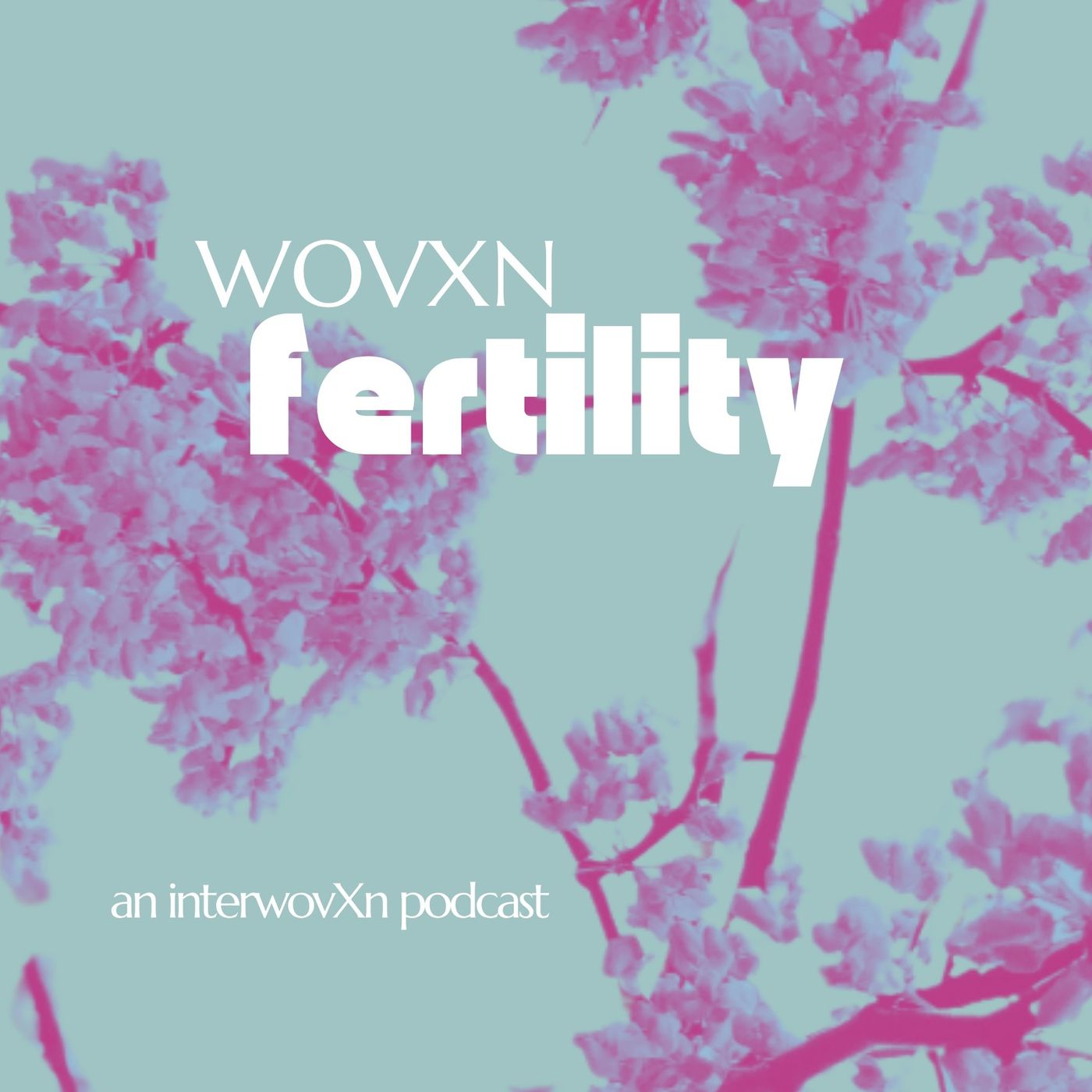WOVXN Fertility: Fertility 101 episode artwork