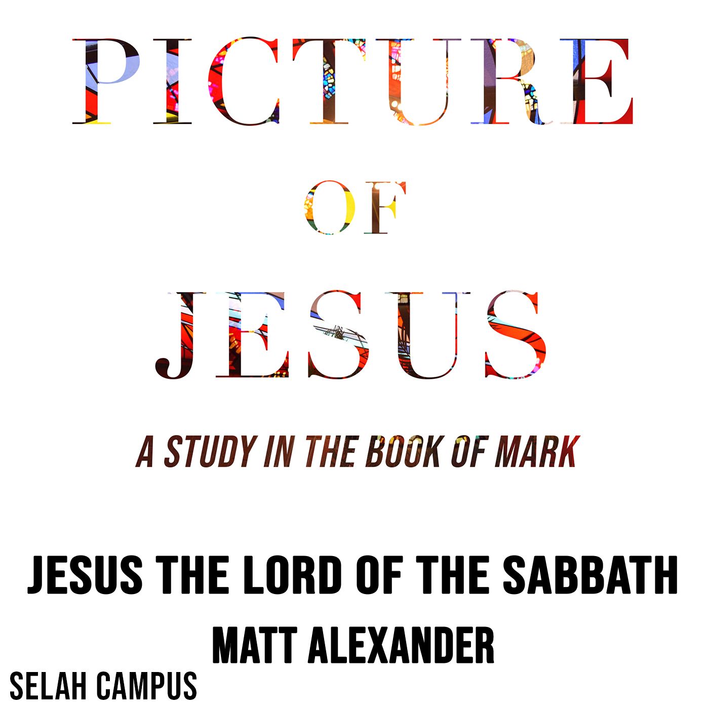 Picture of Jesus | Jesus the Lord of the Sabbath episode artwork