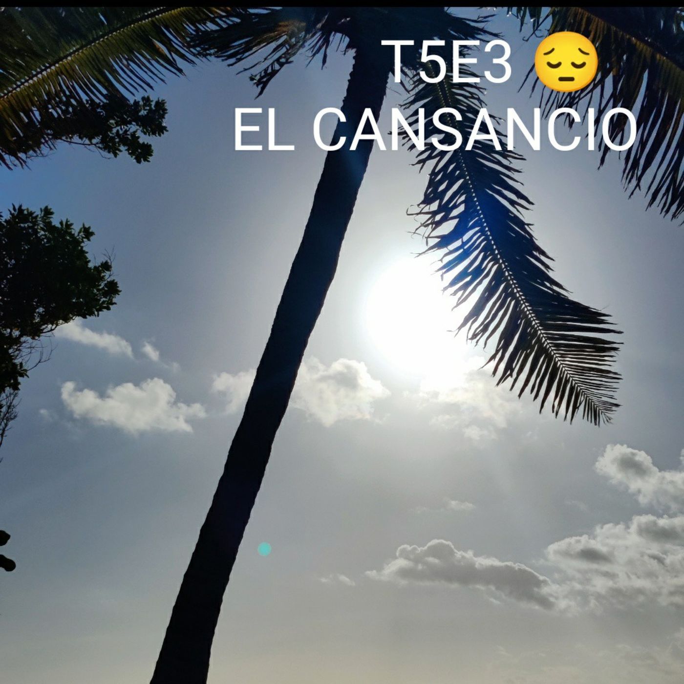 El Transistor Temas al Aire Libre