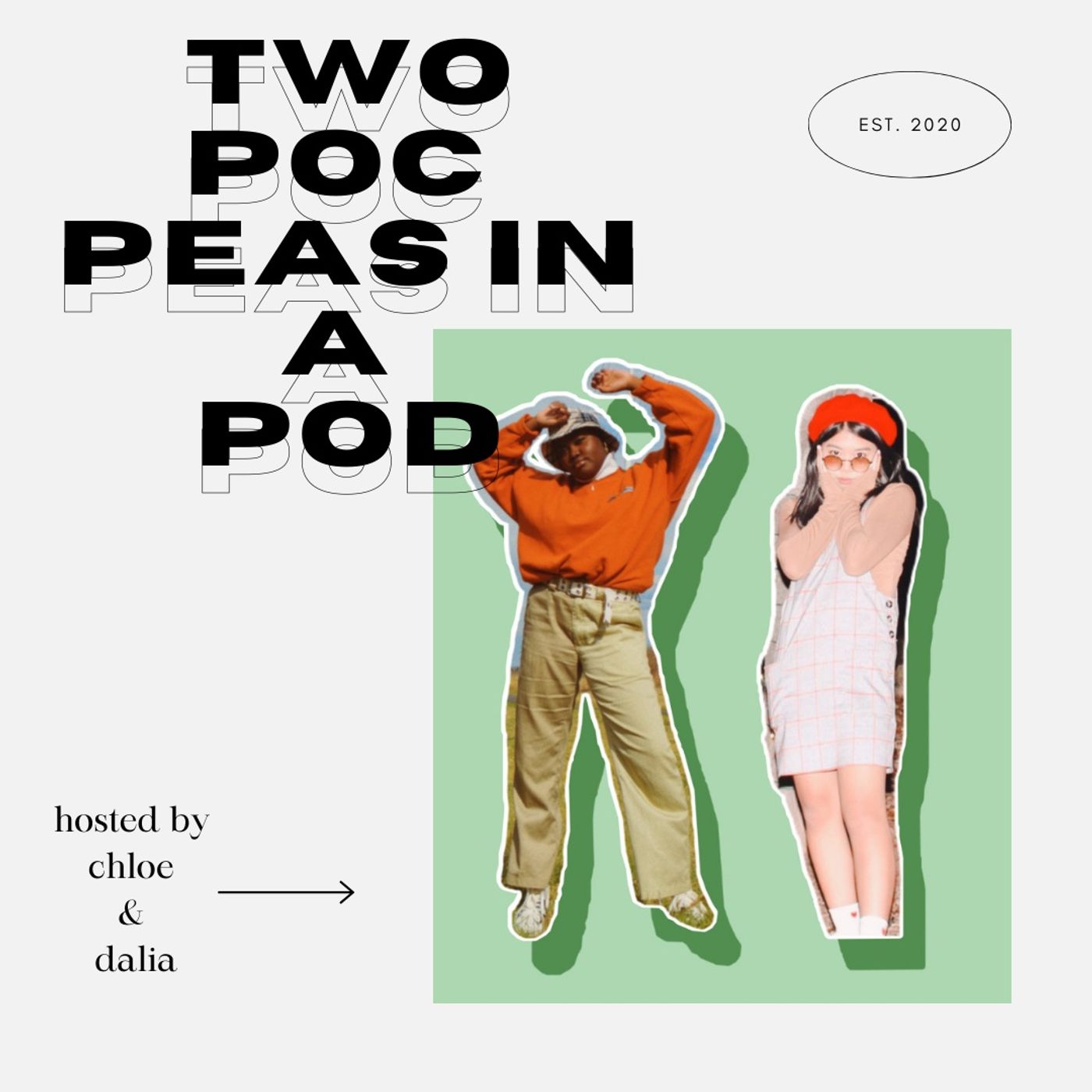 Podcast Image