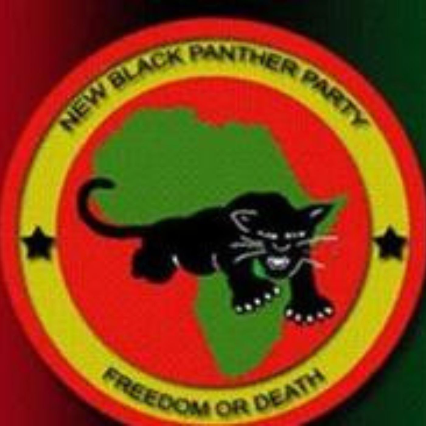 THE NEW BLACK PANTHER PARTY