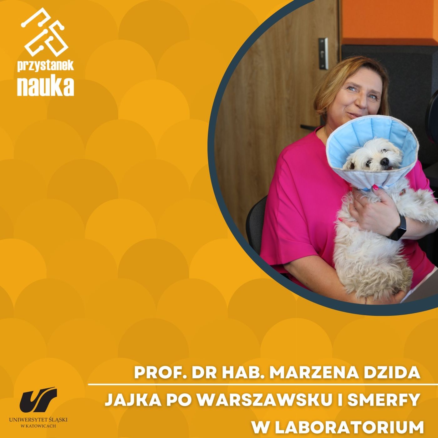 Przystanek Nauka