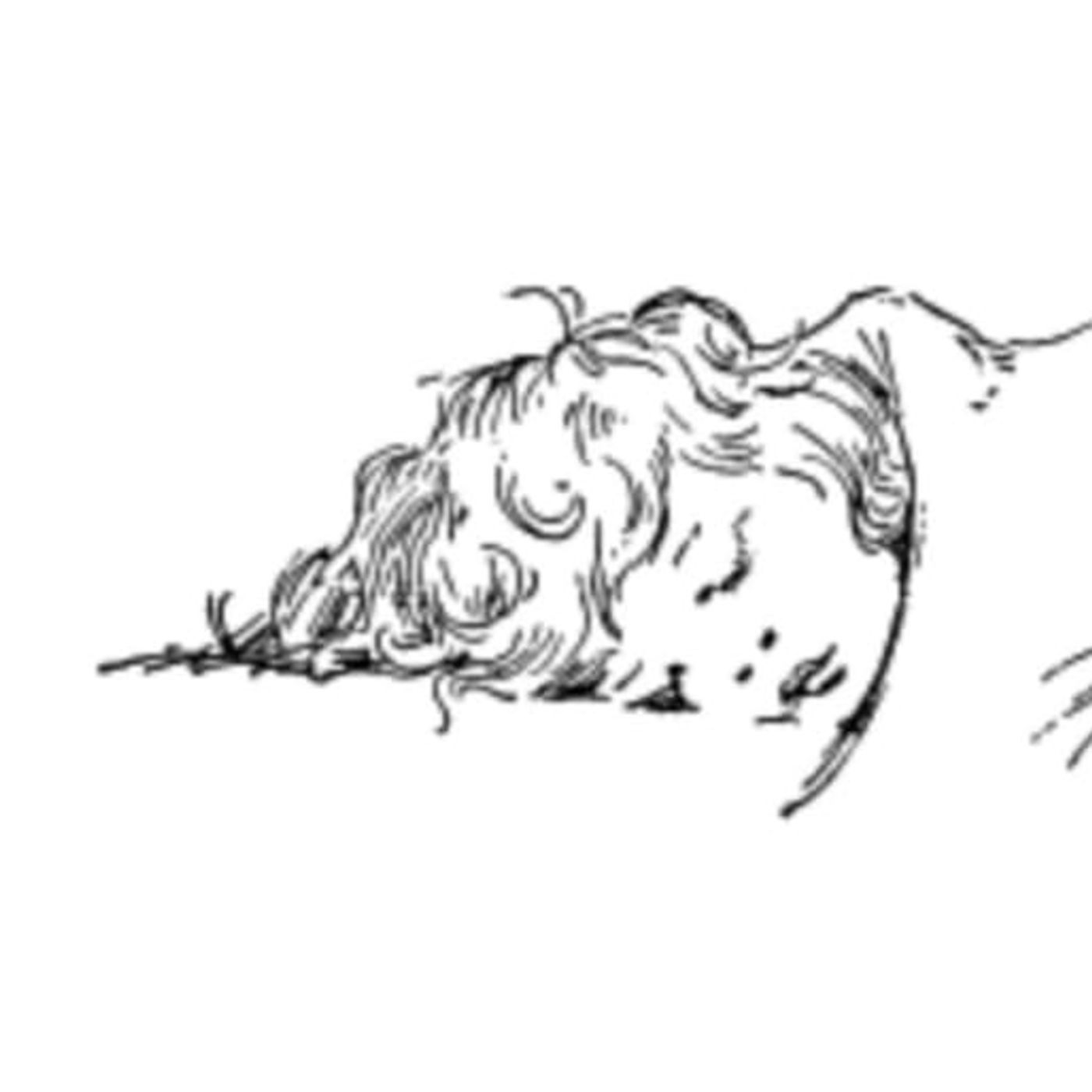 Little Sleepyhead | Bedtime Stories For Kids episode artwork