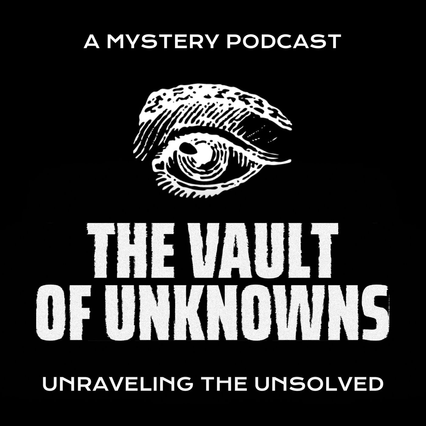 The Vault Of Unknowns podcast artwork