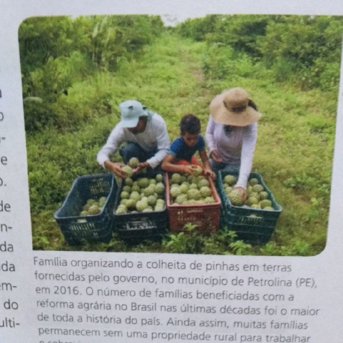 Aula de Geografia - Reforma Agrária episode artwork