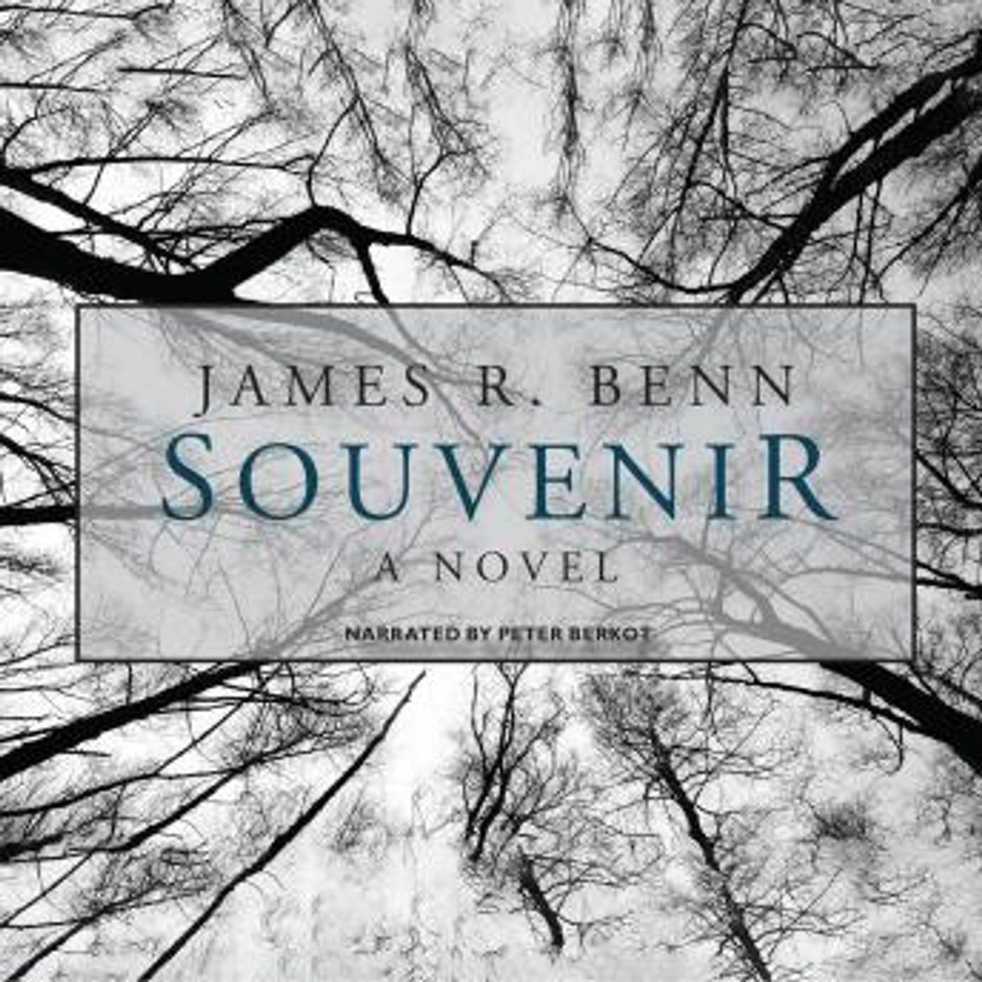 Listen to New Full Audiobooks in Mystery, Thriller & Horror, Suspense
