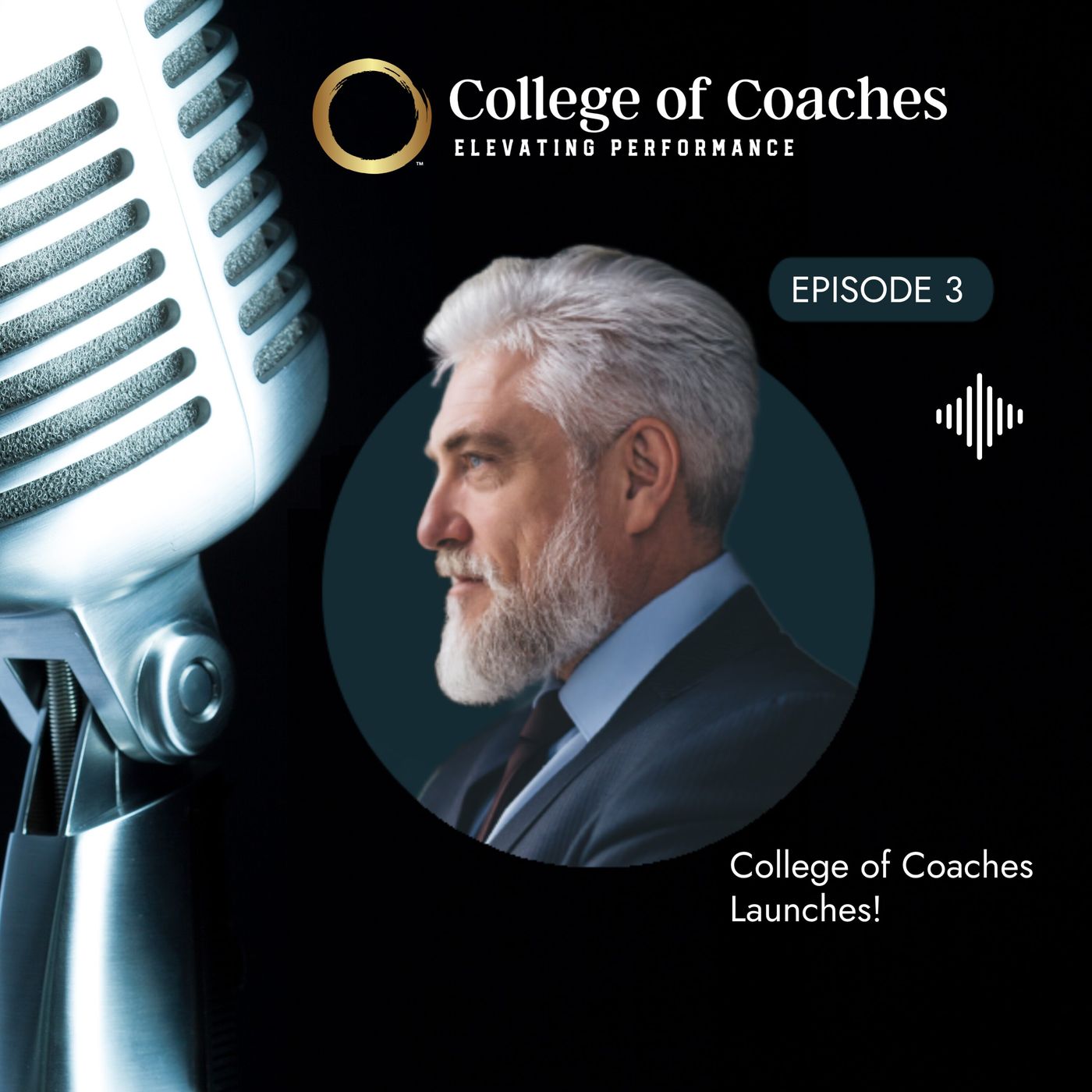 Elevating Performance (Audio)