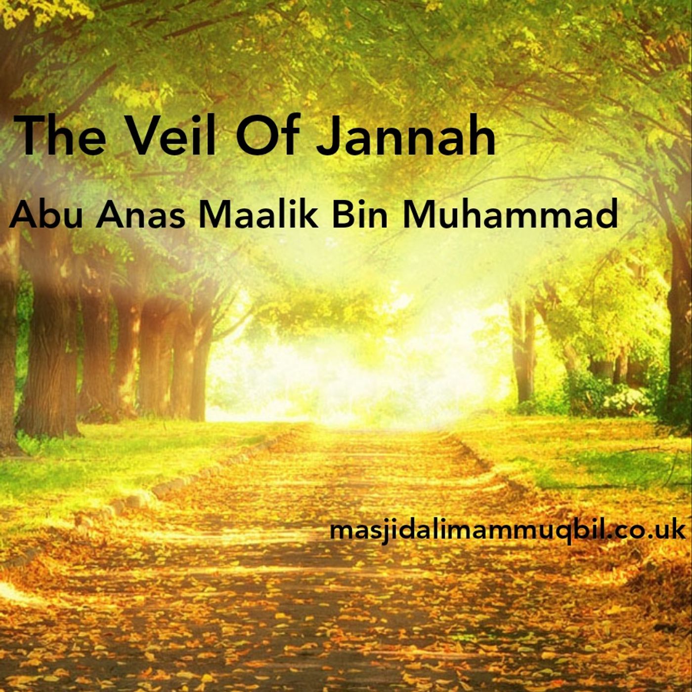 The Veil Of Jannah | Abu Anas Mālik bin Muhammad episode artwork