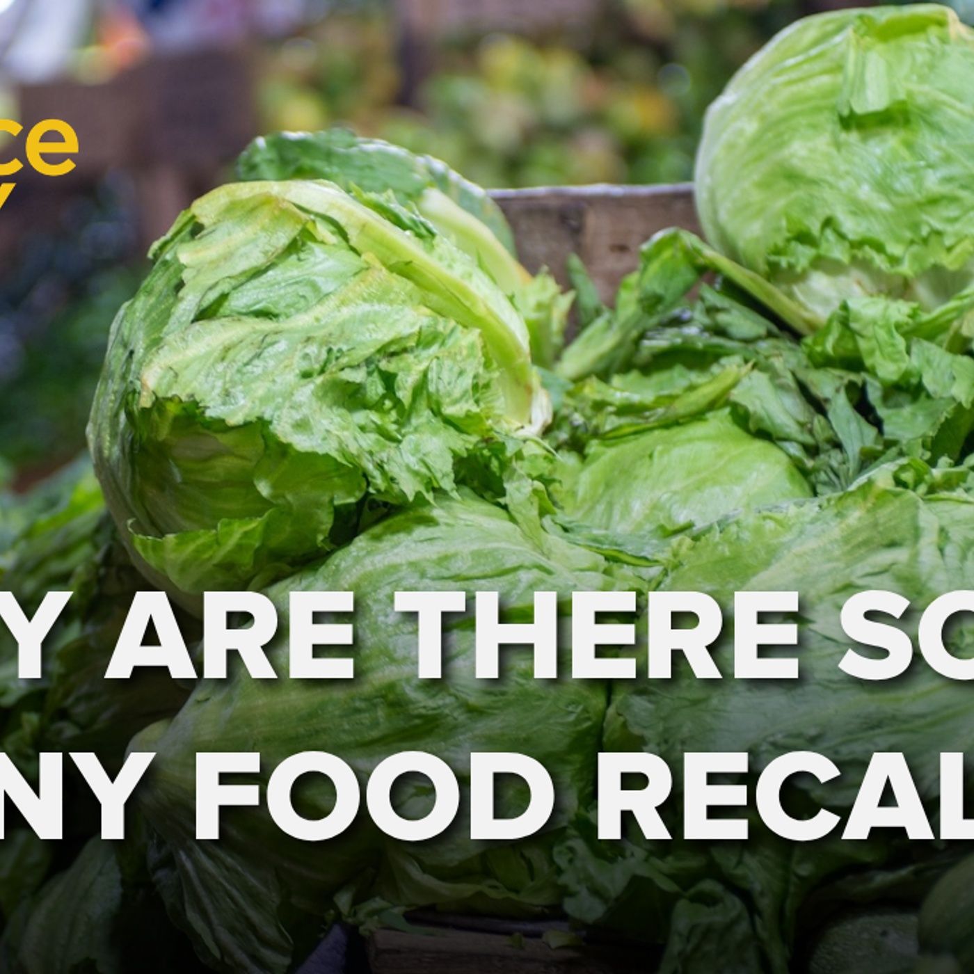 1388: Recall rodeo: A food safety update + Why cars are catching fire