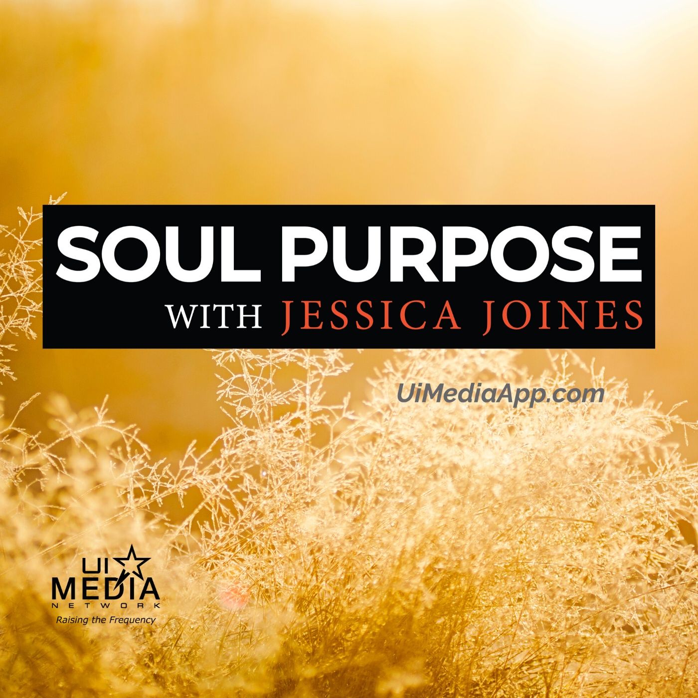 Soul Purpose
