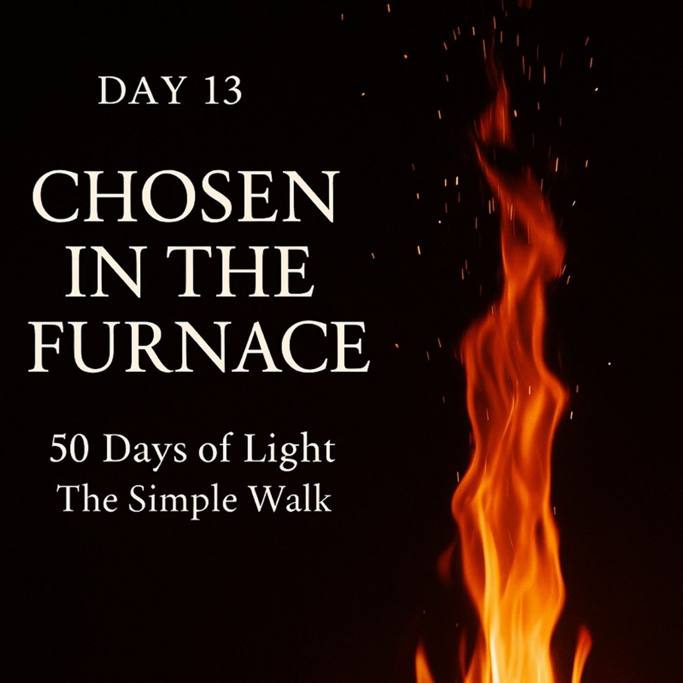 The Simple Walk - 50 Days Of Light