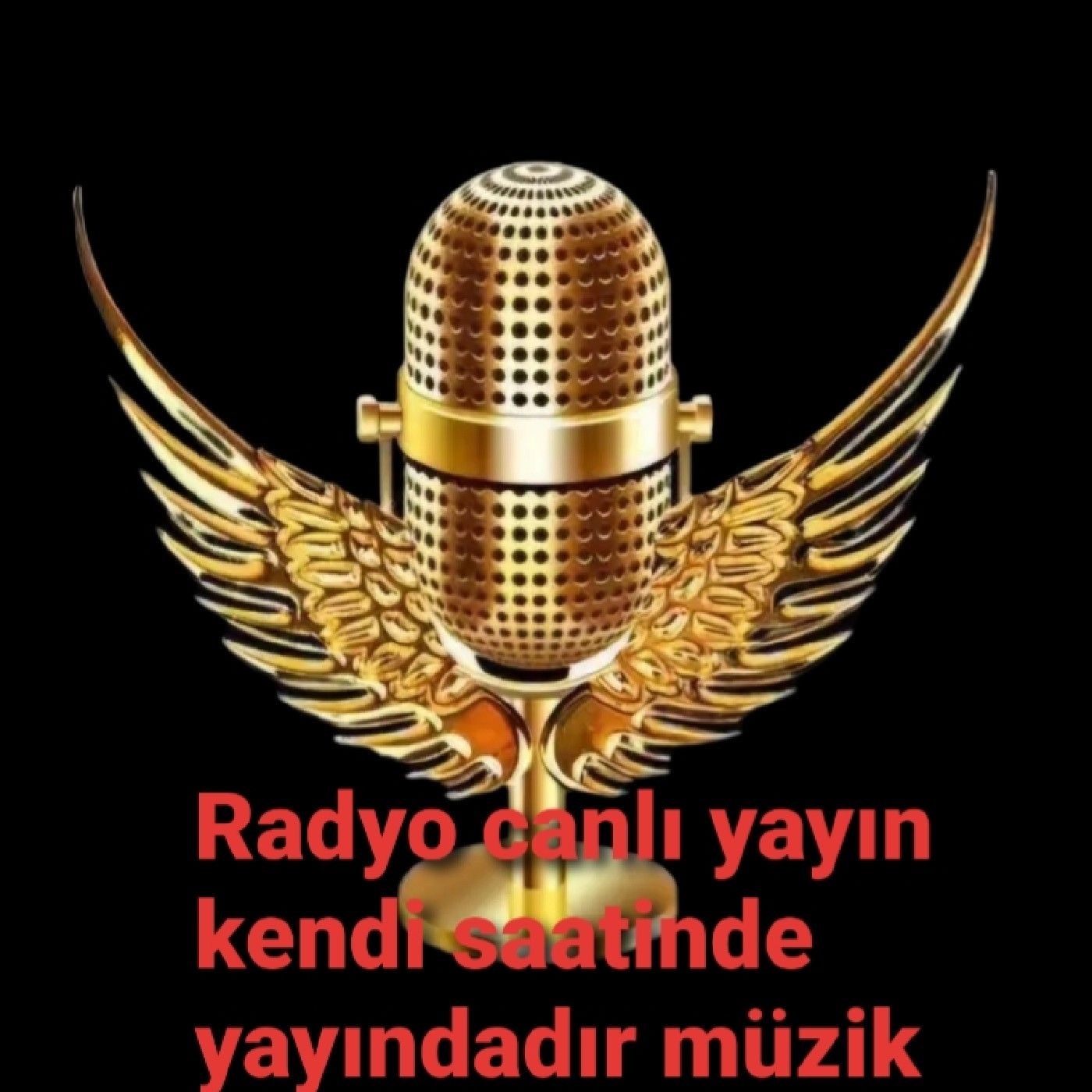 Mehmet\'le damardan kalbe