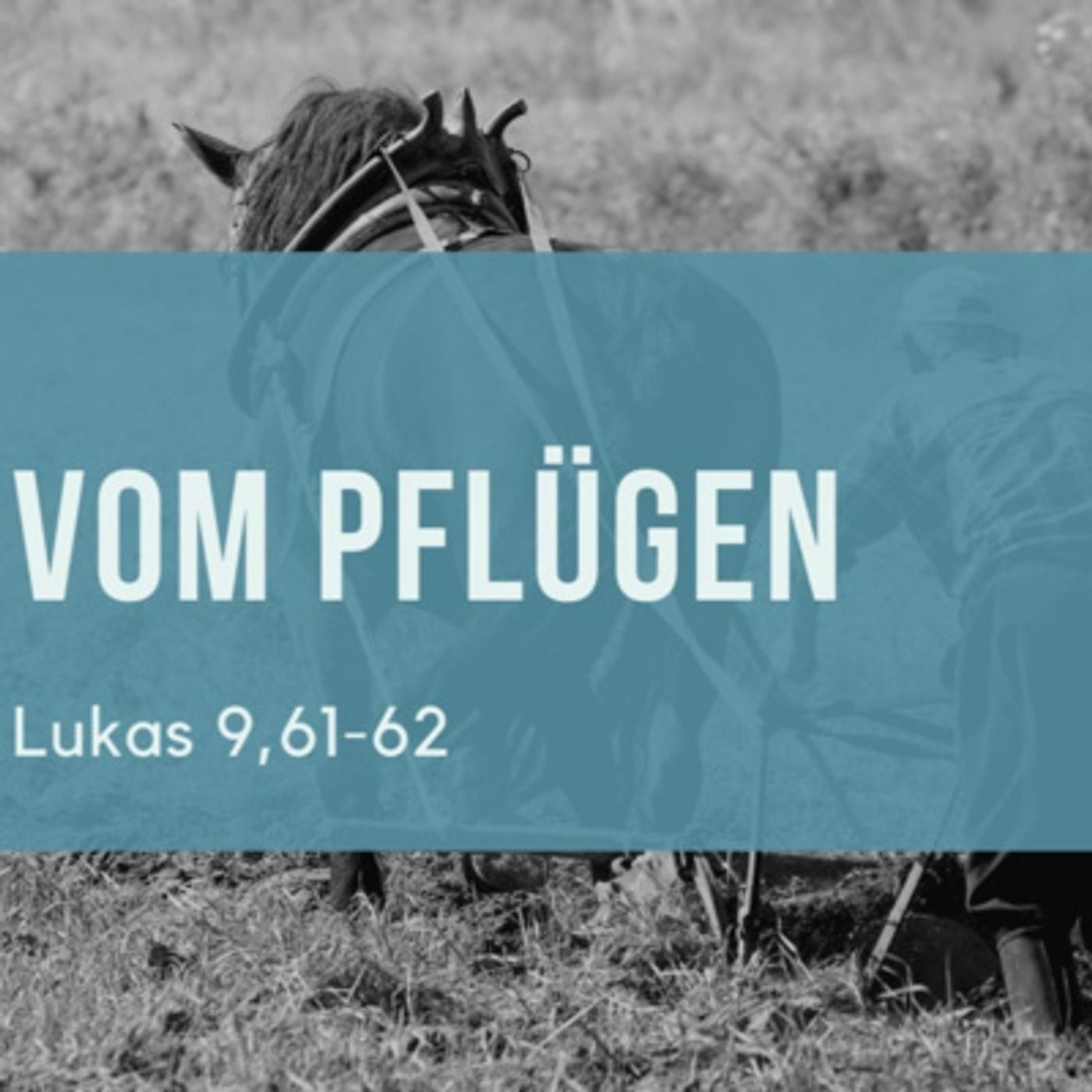 PG-Bielefeld Predigten