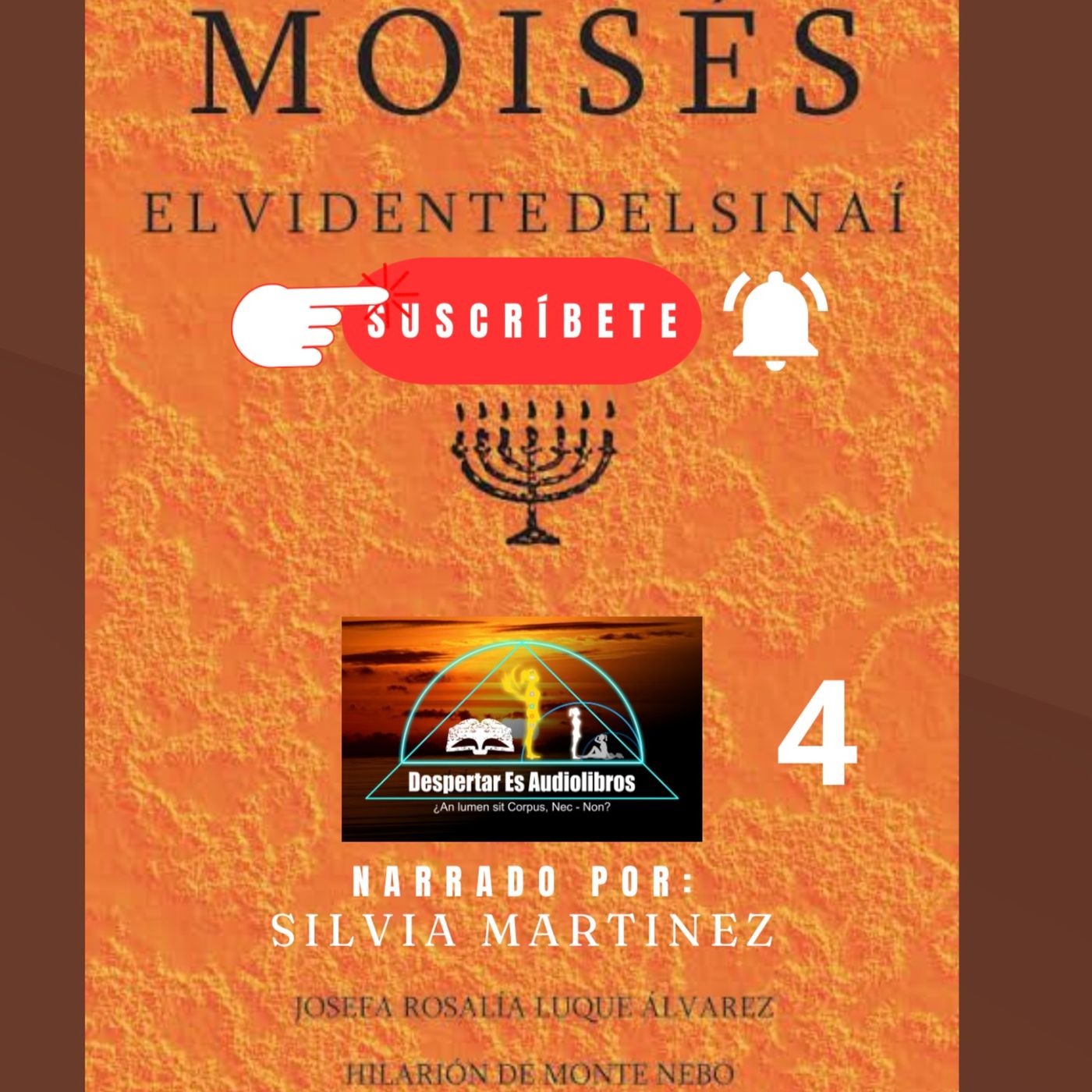 La Voz Interior. Silvia Martínez1