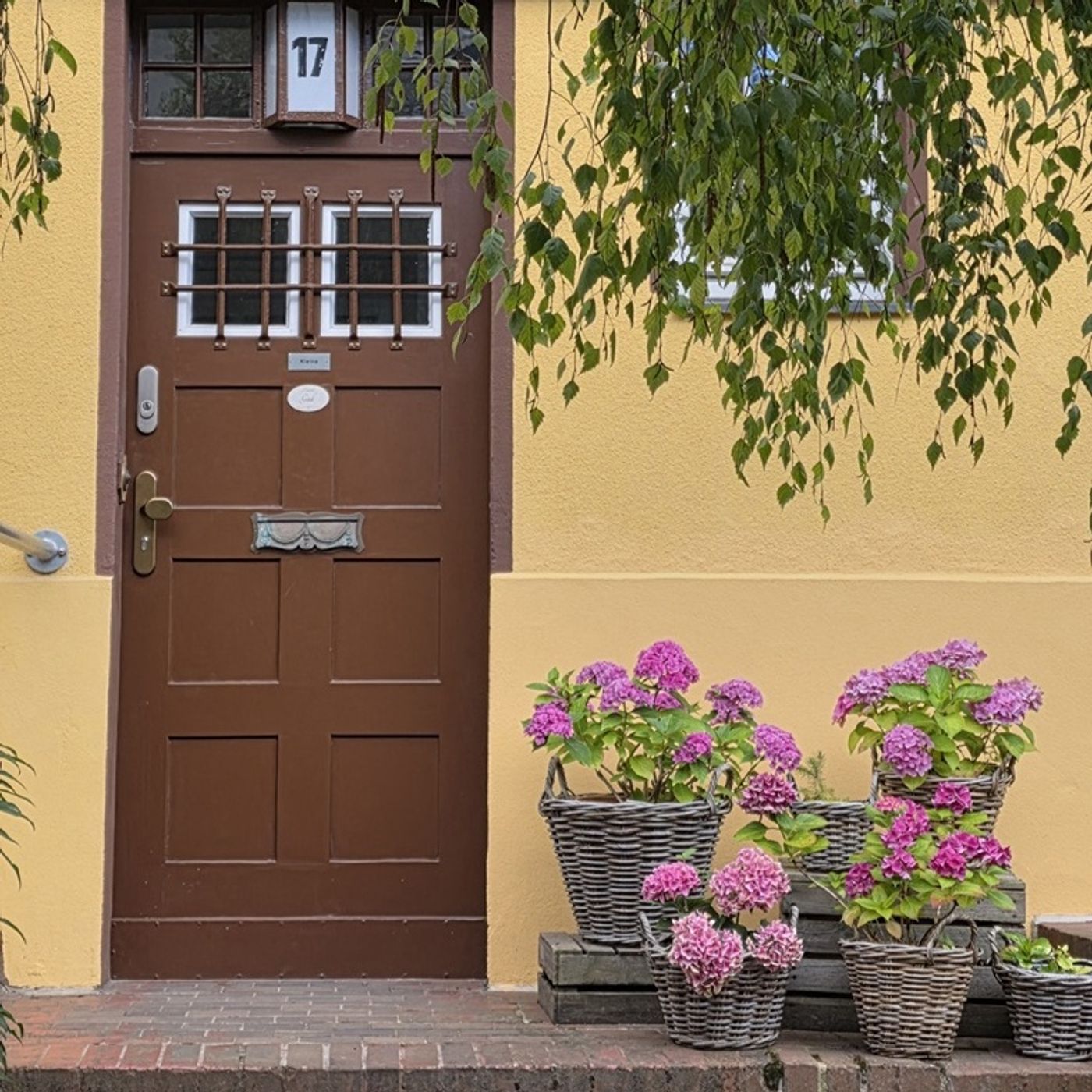 21. Juli 2026 | Steglitz-Zehlendorf (Steglitz) | Ameisen, Stadt- und Bäkepark, Kirche mit Betten, Birkbuschgarten und Buchfinken episode artwork