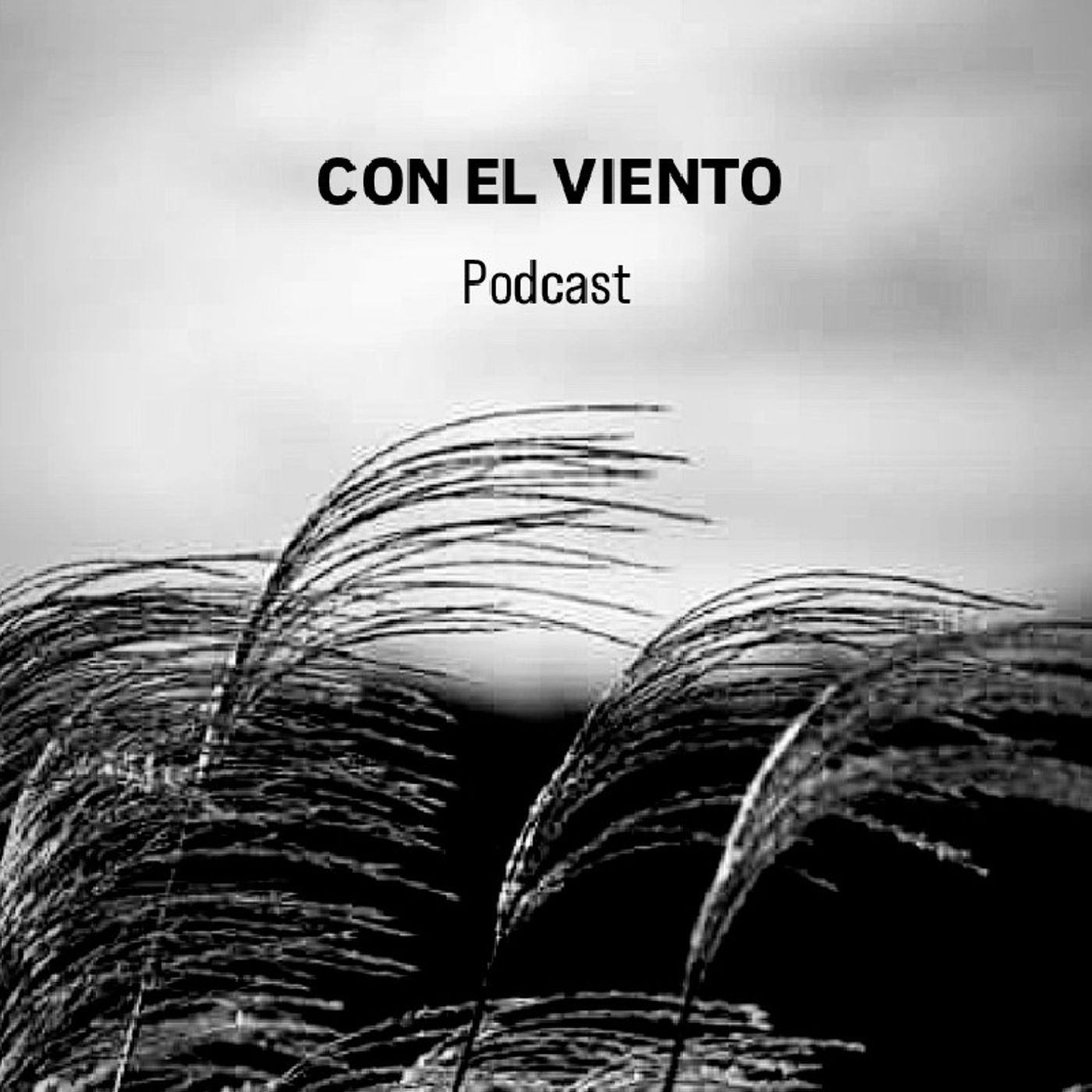 Podcast con el viento episode artwork