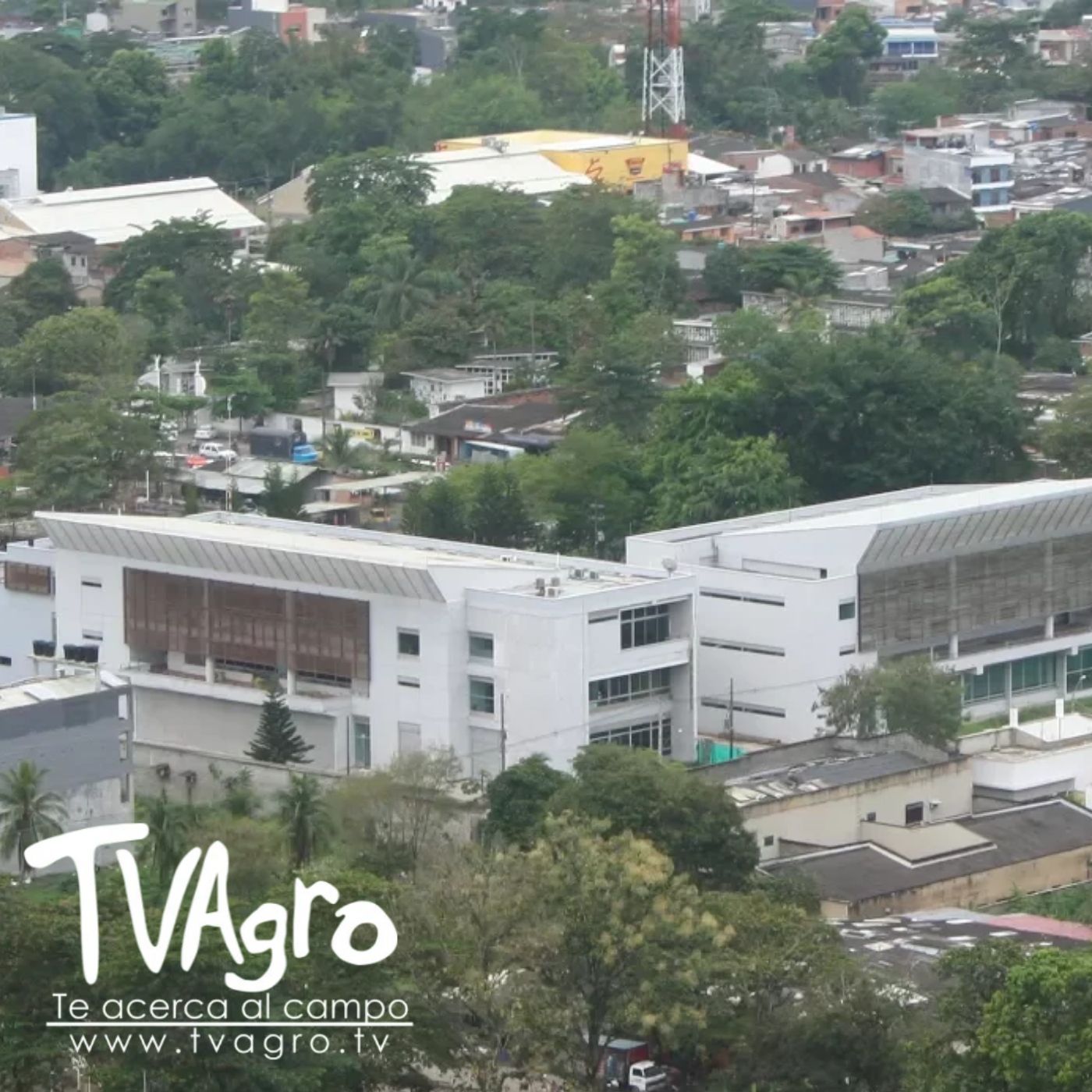 TV AGRO